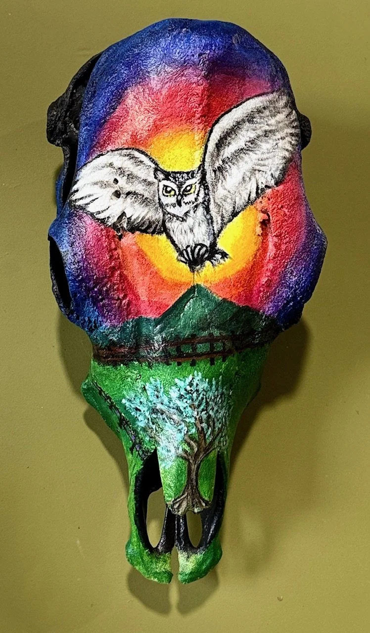 owl on colorful cow skull.jpg