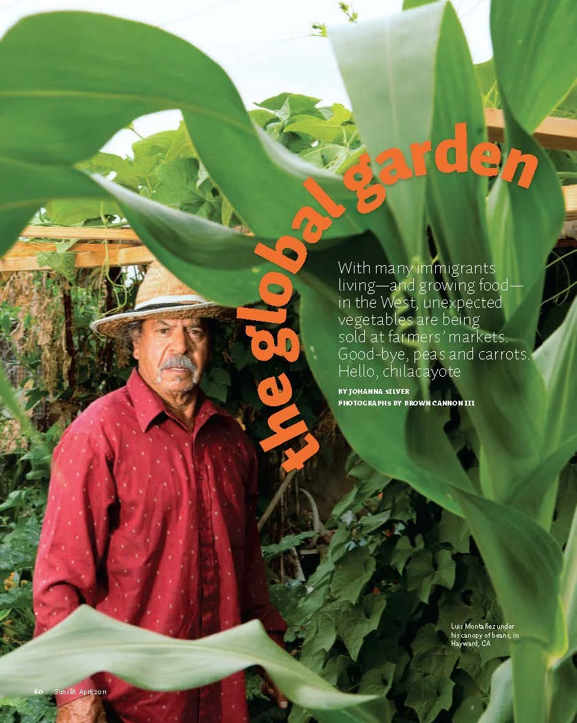 global garden1.jpg