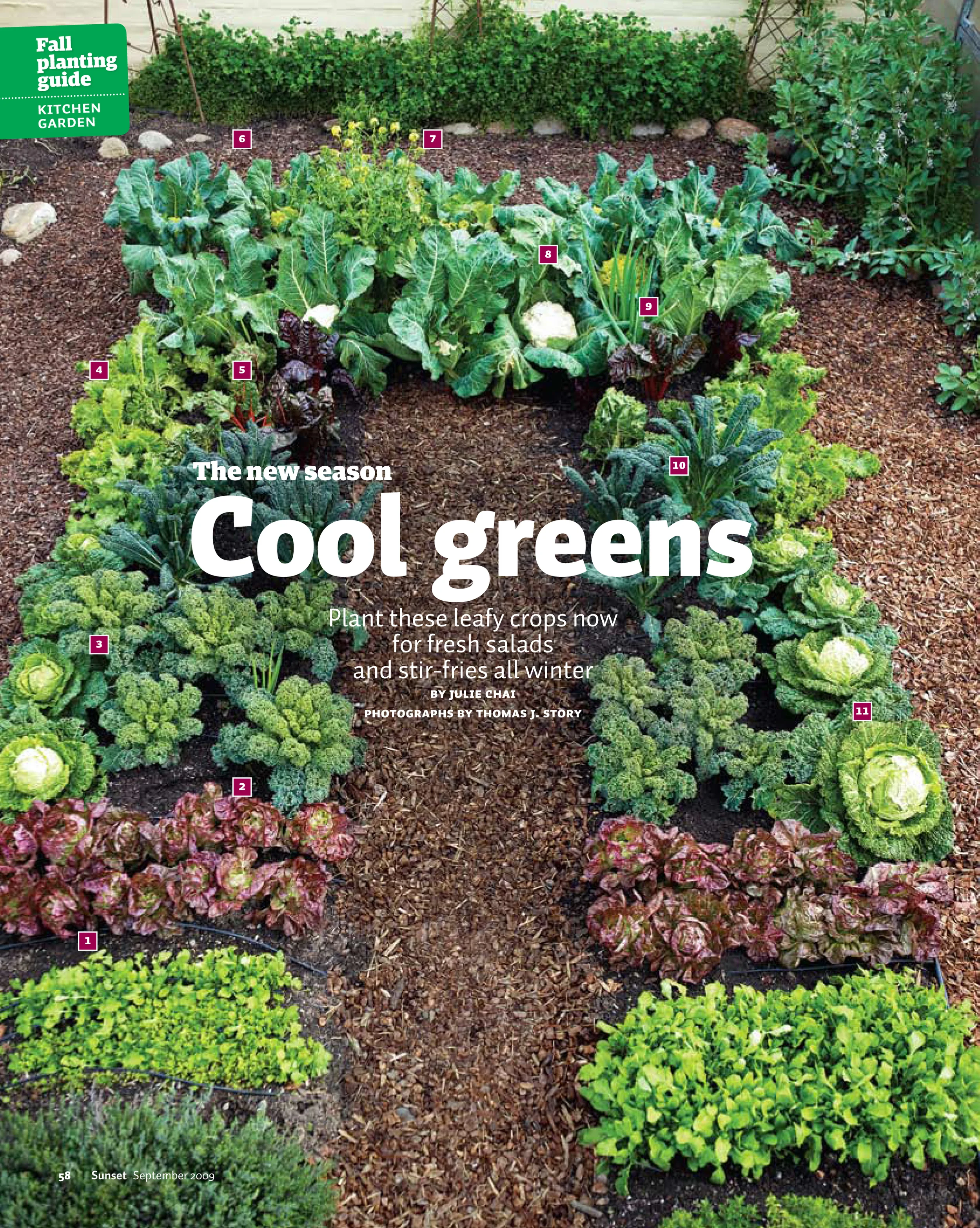 gkb0909v_CoolSeasonVeg-1.jpg