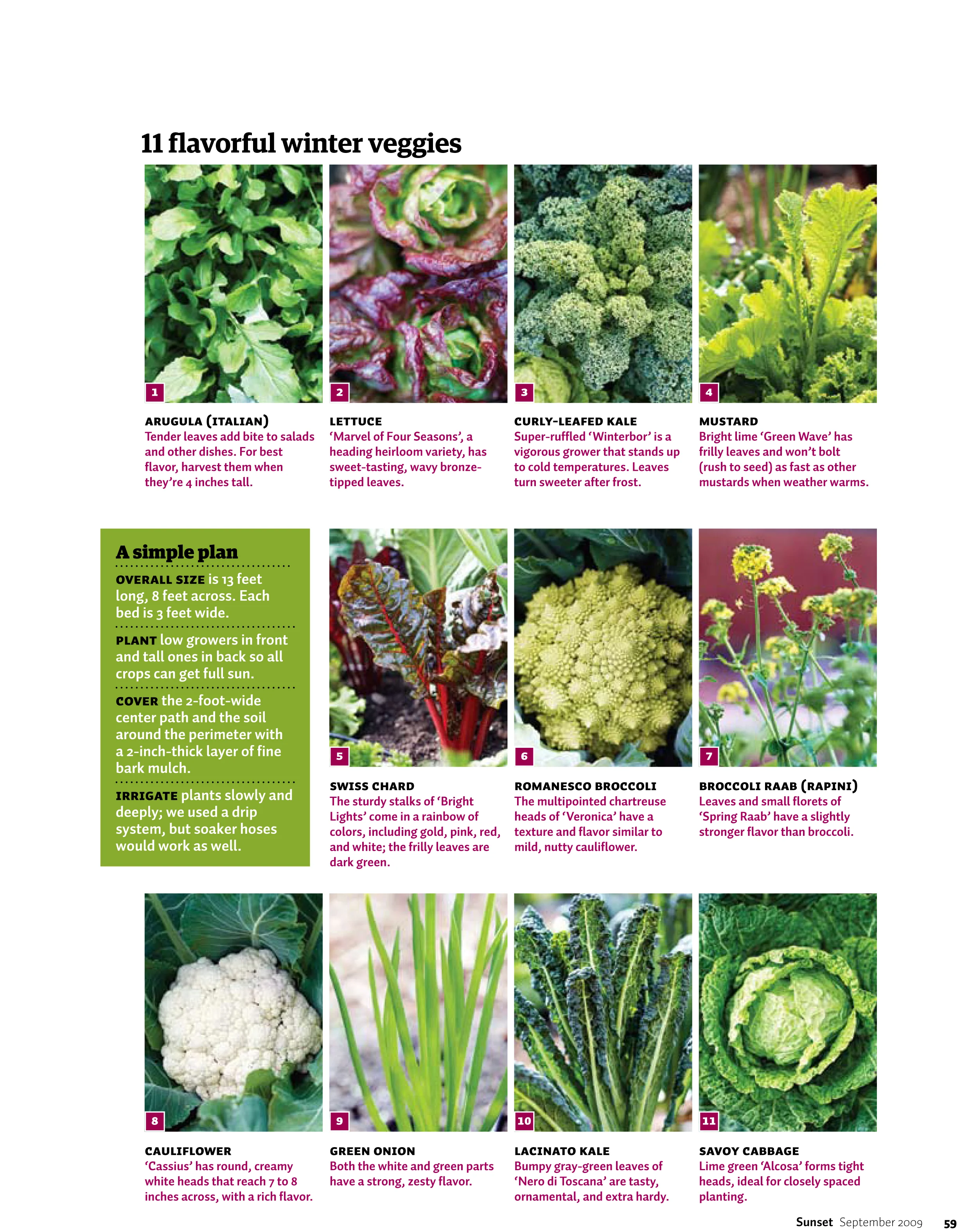 gkb0909v_CoolSeasonVeg-2.jpg