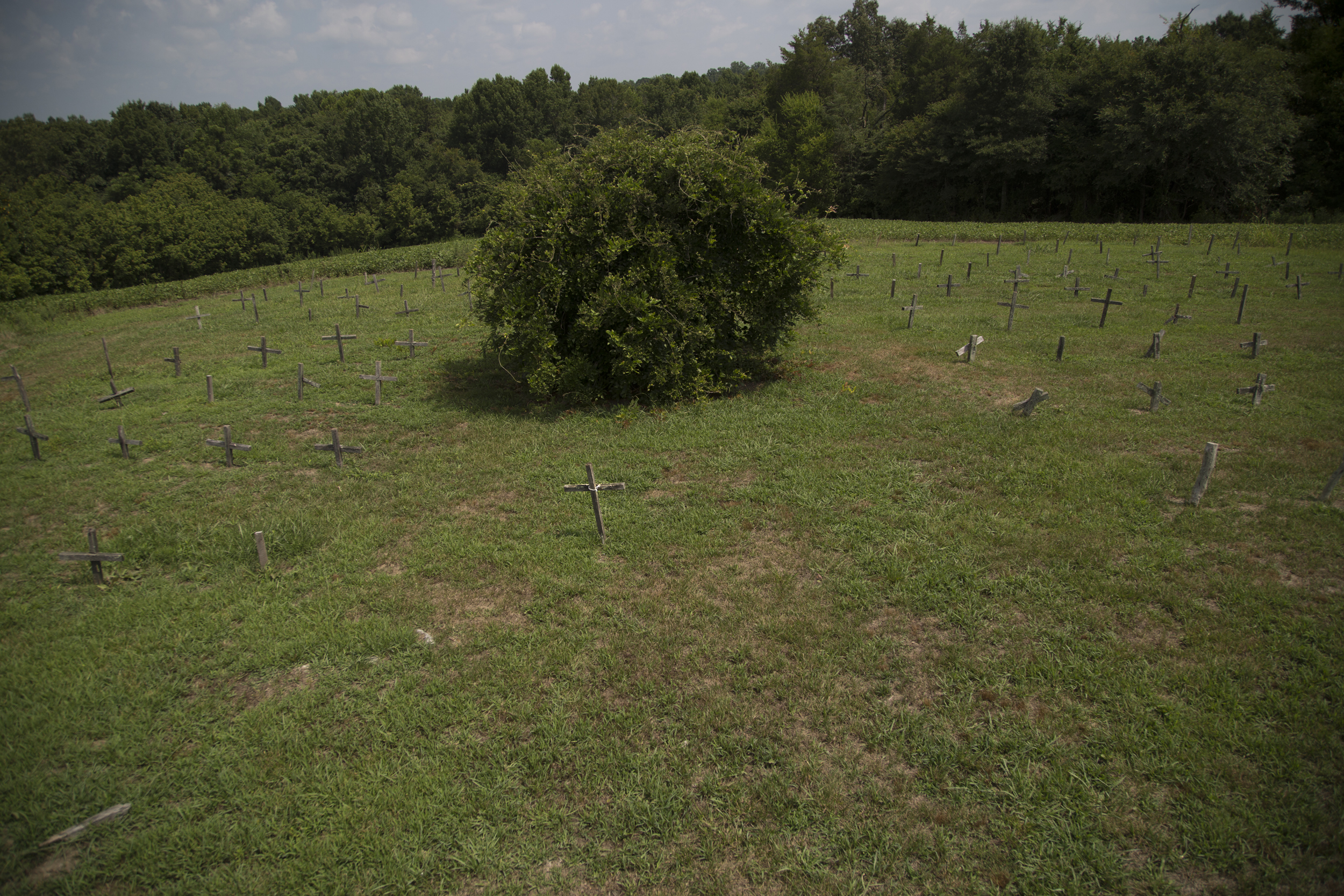 The Foxhound cemetery