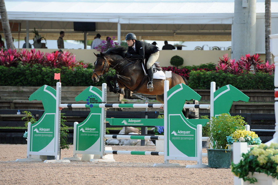 Congratulations Stacey Schulte on your purchase of Frankie B! We are so thrilled to keep this horse in the Freedom Woods program and be part of your continued success with this incredible horse!