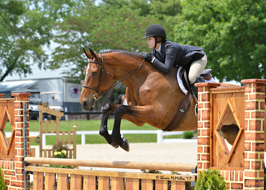 Congratulations Justine Bestler on your purchase of Callahan! Thank you Mike Tokaruk for helping us find the best match for Justine! We are excited for this beautiful mare to show Justine the ropes!