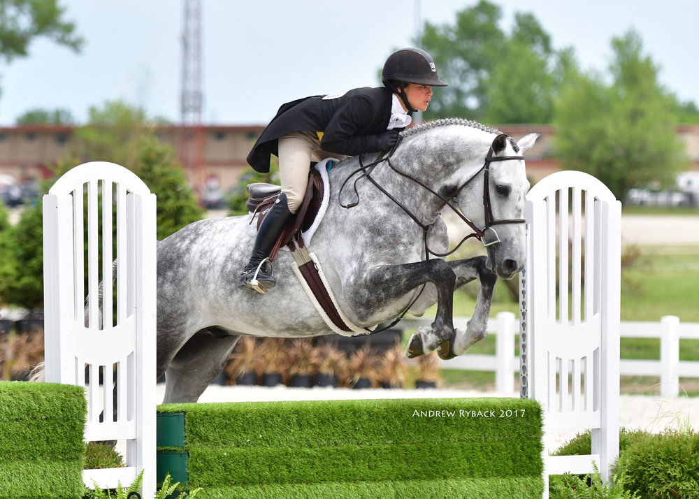 Congratulations to Jennifer Alfano and SBS Farms on your purchase of Stardust. We look forward to watching your future successes with this incredible young horse!