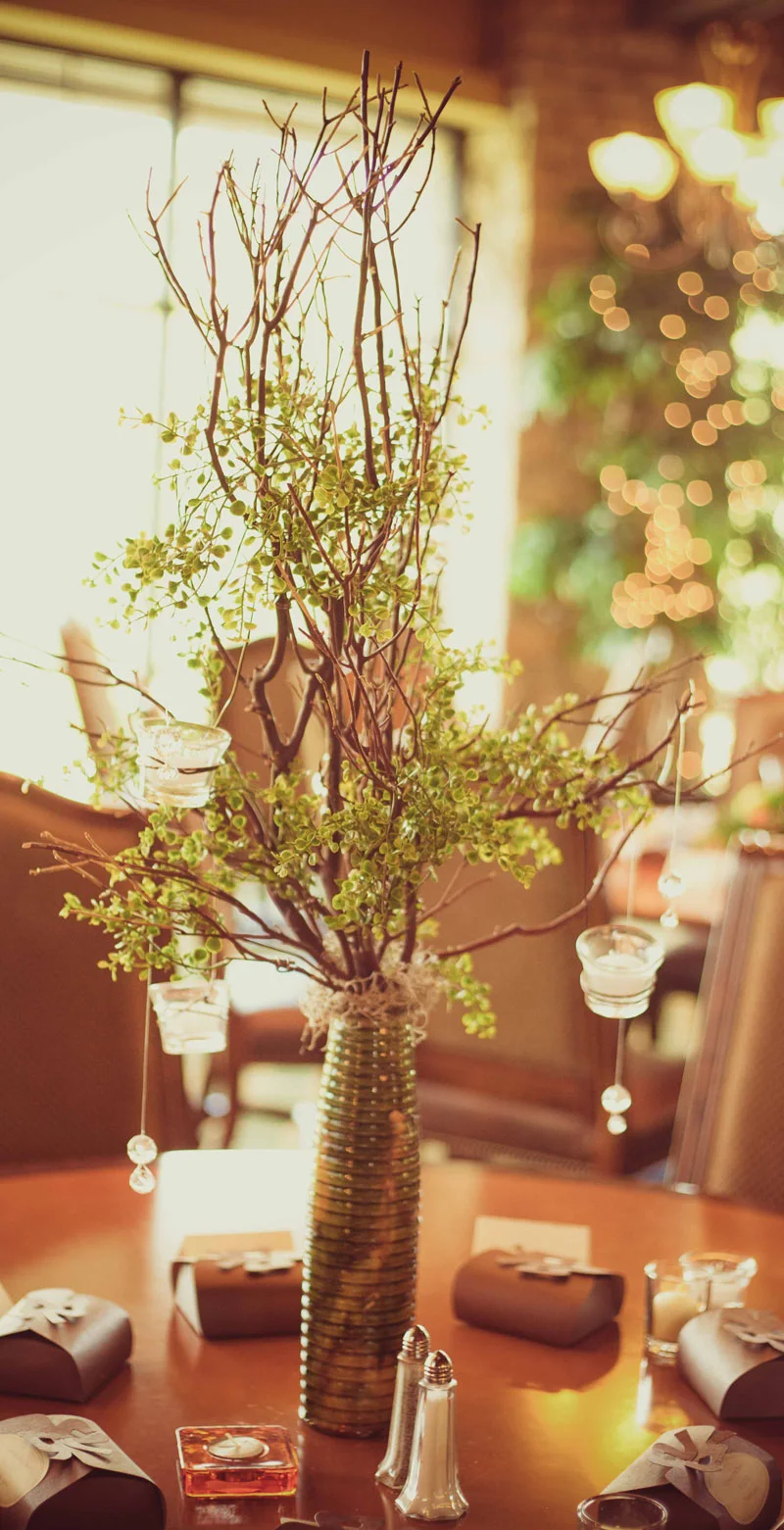 twig_tree_800.jpg