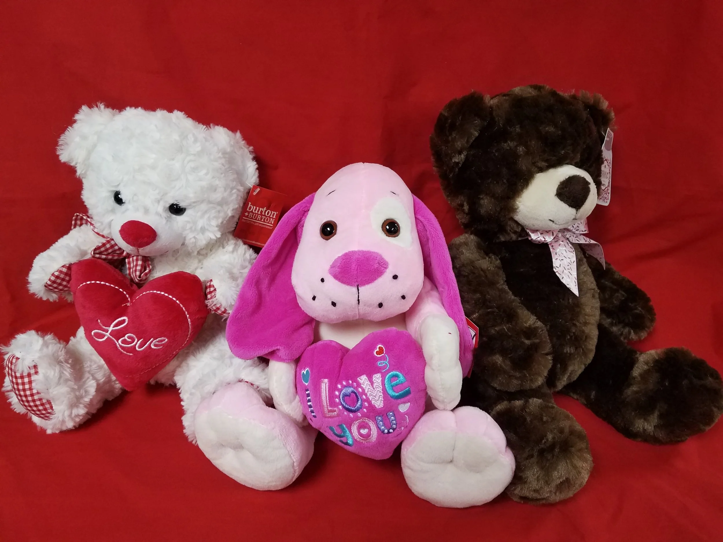 20170206_103136.jpg