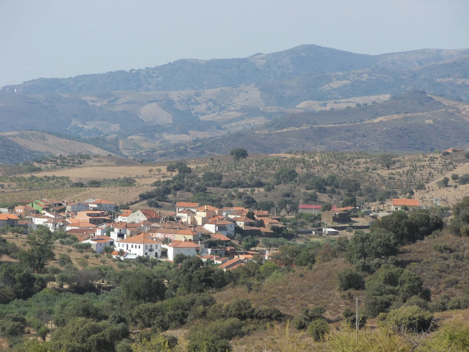 Durante os dias 4, 5, 6, 11, 12 e 13 de Setembro, realizámos rastreios de Pé Diabético e Demências em todo o concelho de Alfandega da Fé.