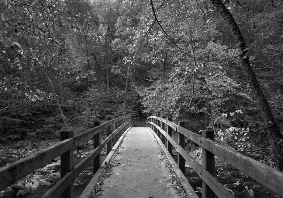 B&W---12.jpg