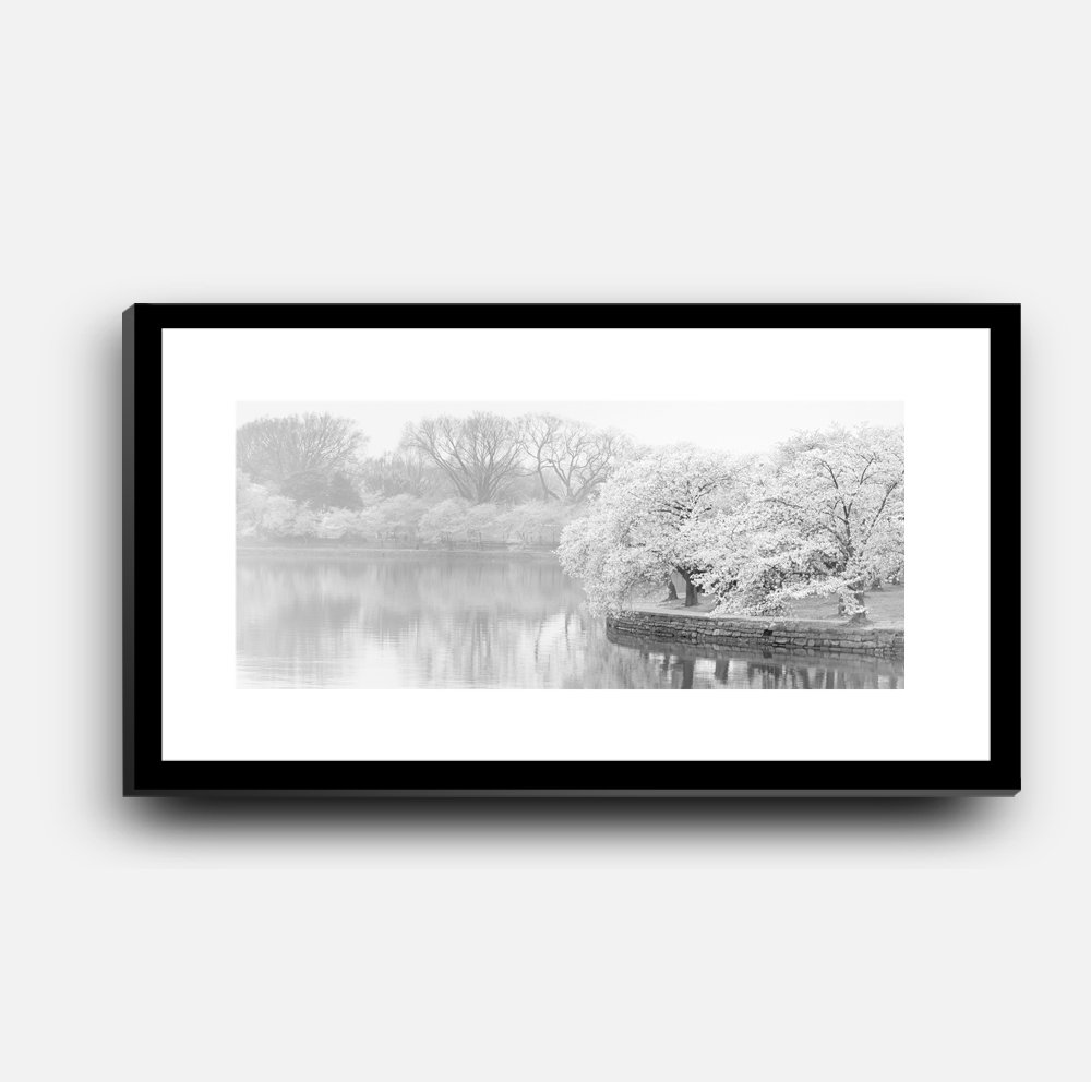 ShopFrame-14x30-Tidal-Basin-Morning-Blossoms.jpg