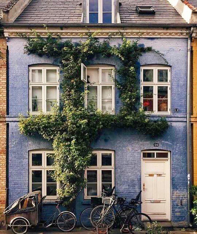 My head is dreaming away in this European cottage row house.  Callum and I biking to the local florist and painting out in the cute back garden. 
.
#inspo #inspiration #inspiredby #bluecottage #ivy #ejddesignllc #europeanarchitecture #ihavethisthingw