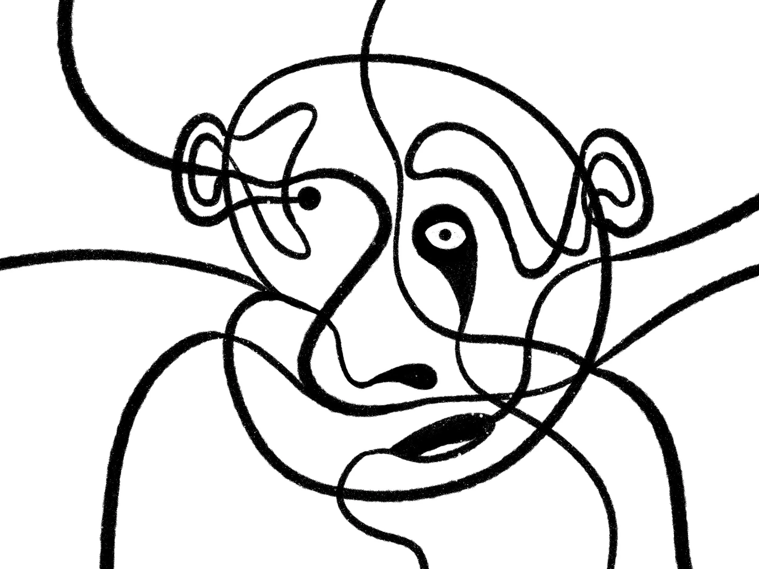 IMG_1914.jpeg