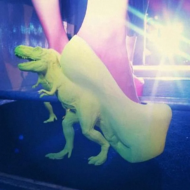 WEAR A DINOSAUR ON YOUR FEET