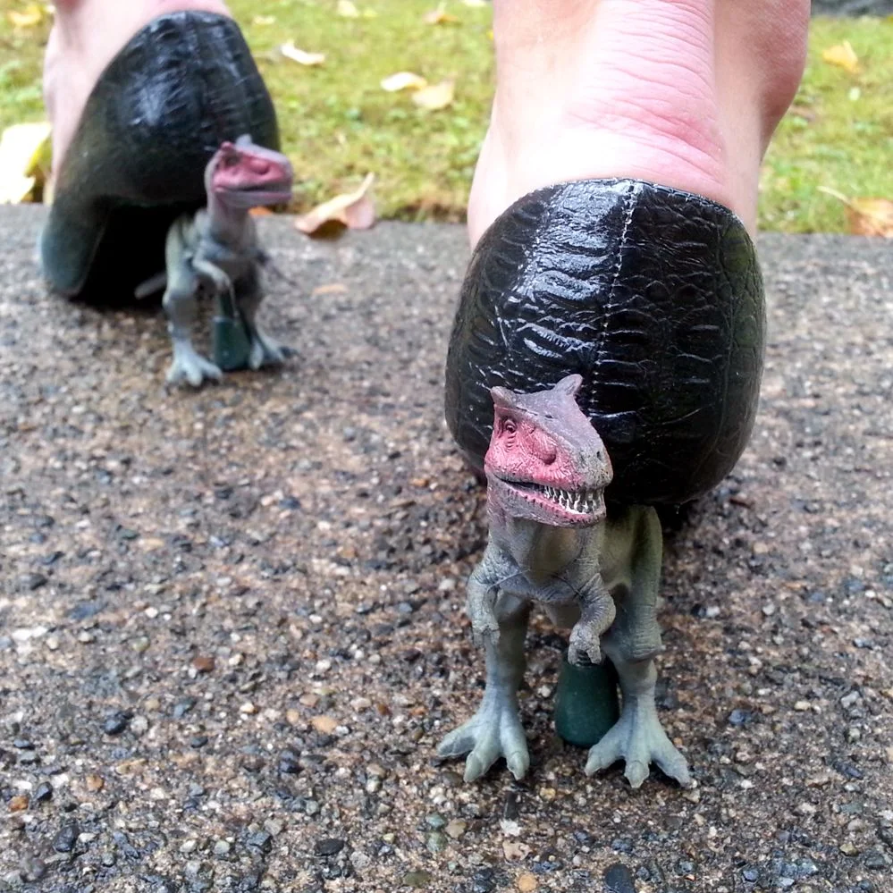 Dinosaur Instructables - 3