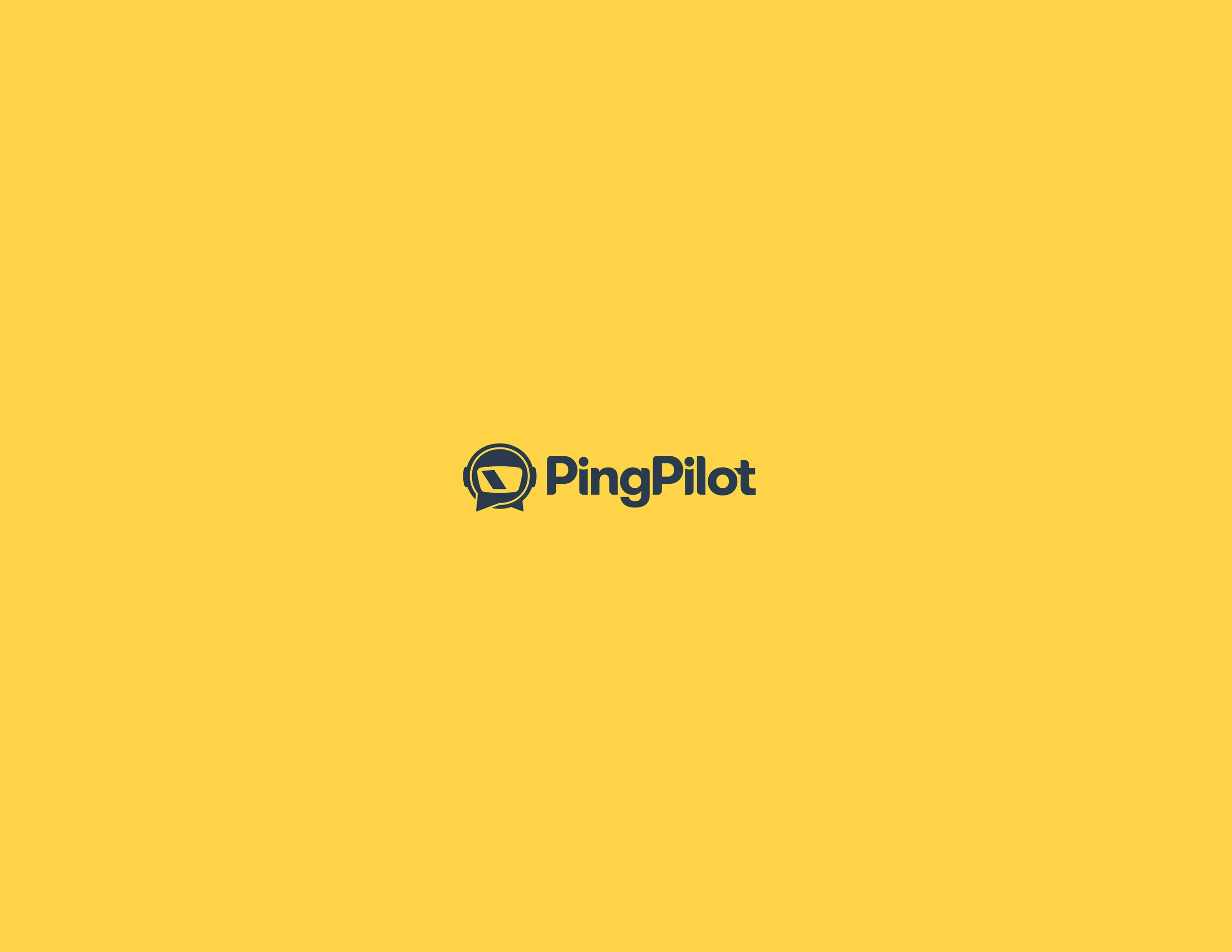 Ping-Pilot-final.jpg