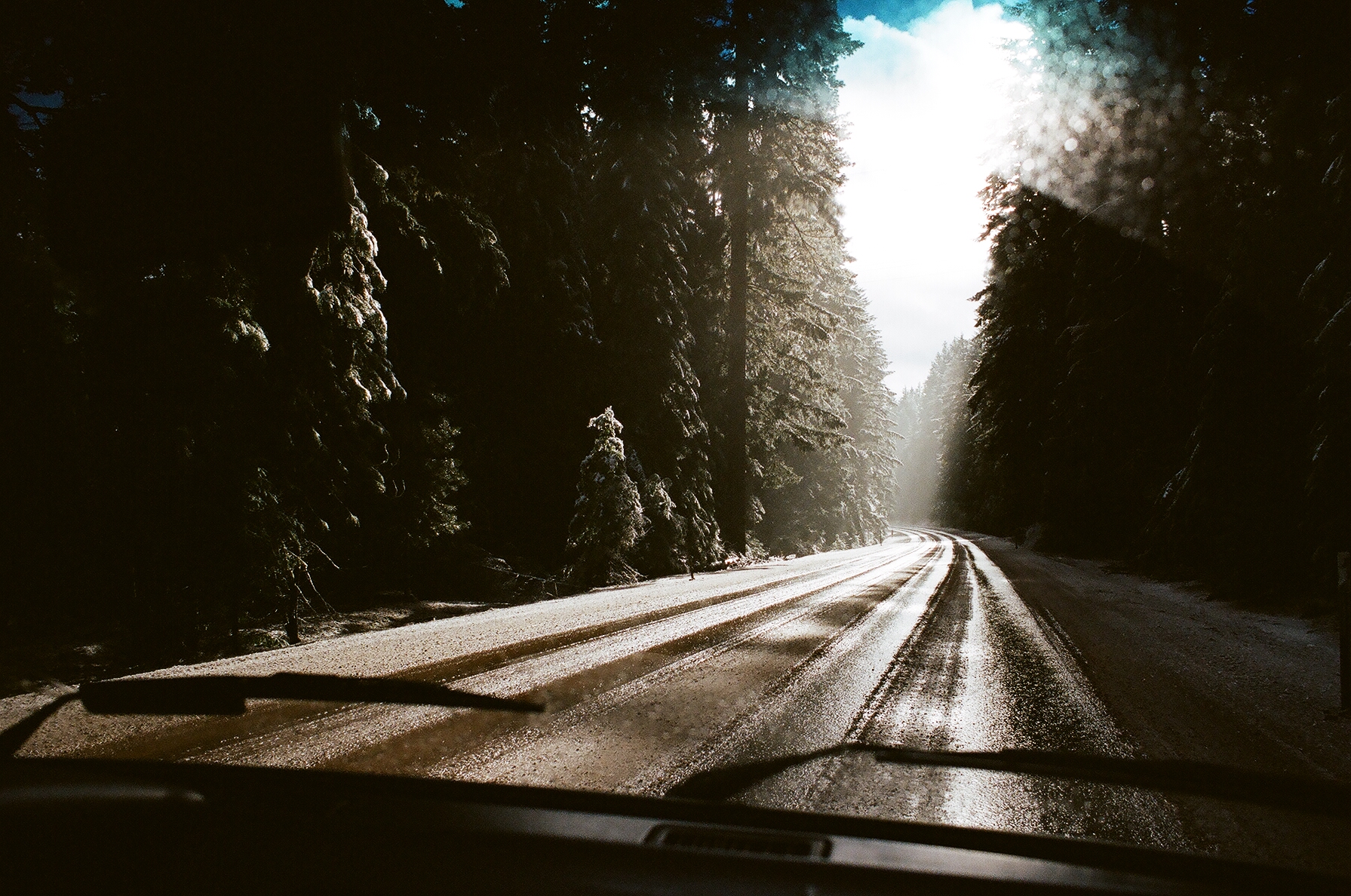 11070022.JPG