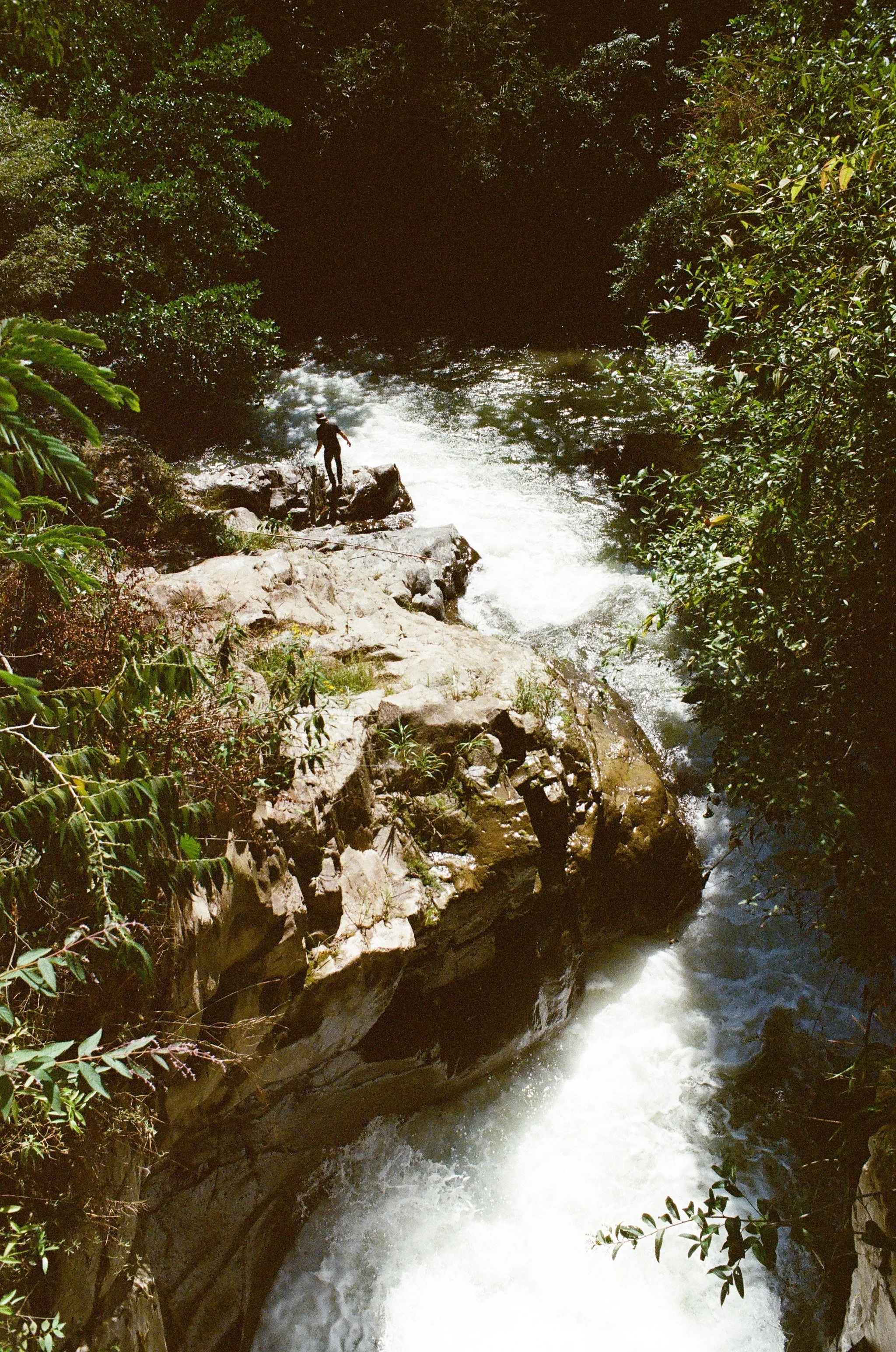 49120022.jpg