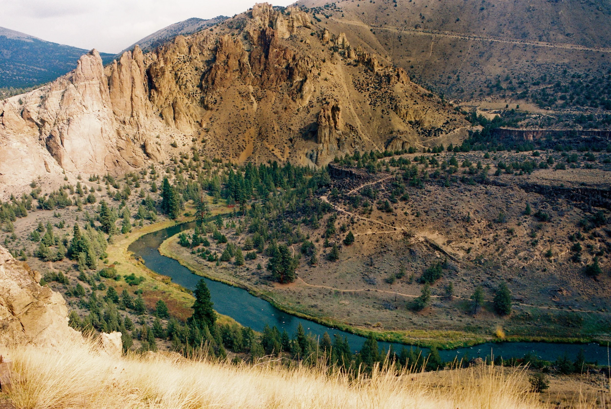 0737747-R2-04-20.jpg