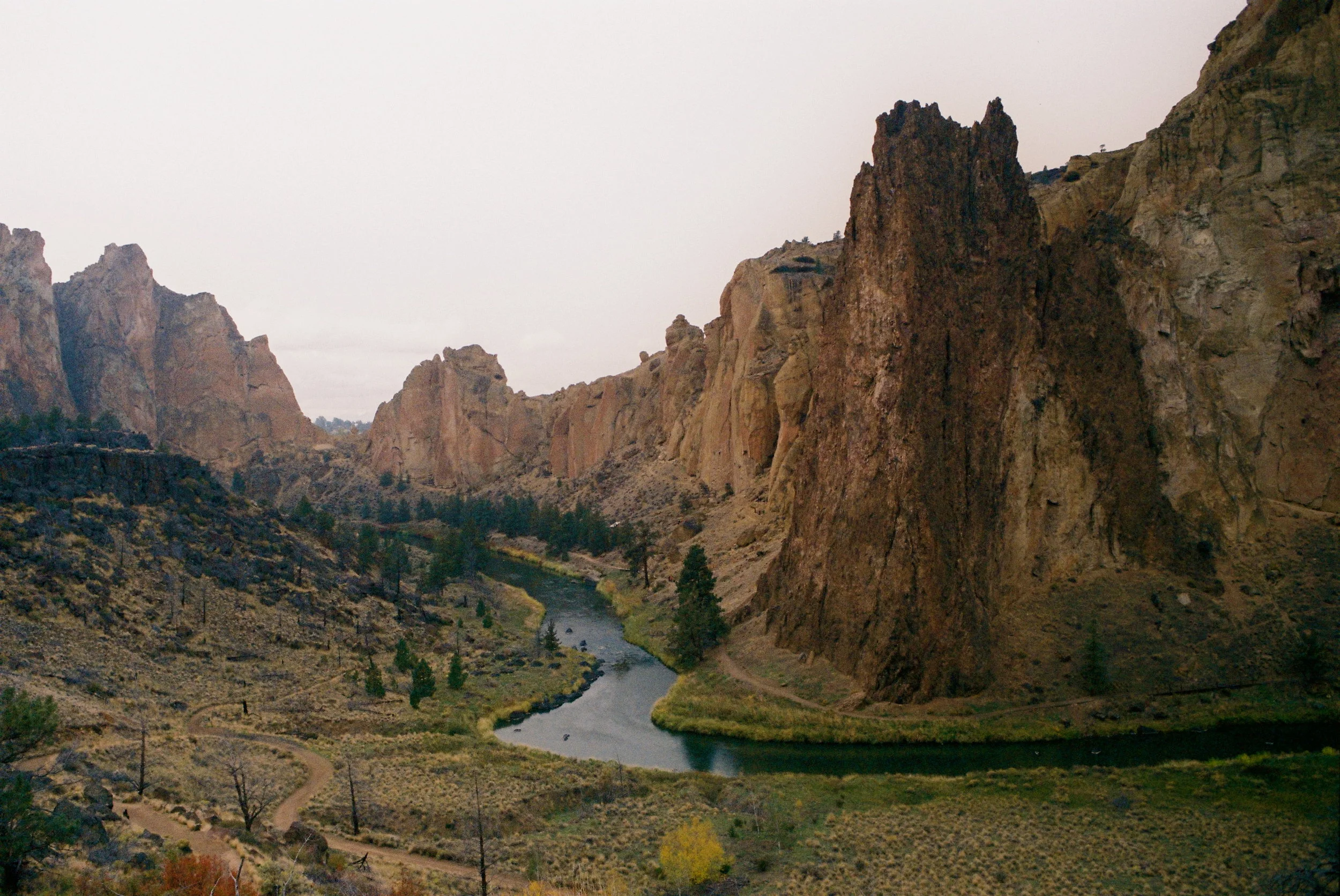 0737747-R2-09-15.jpg
