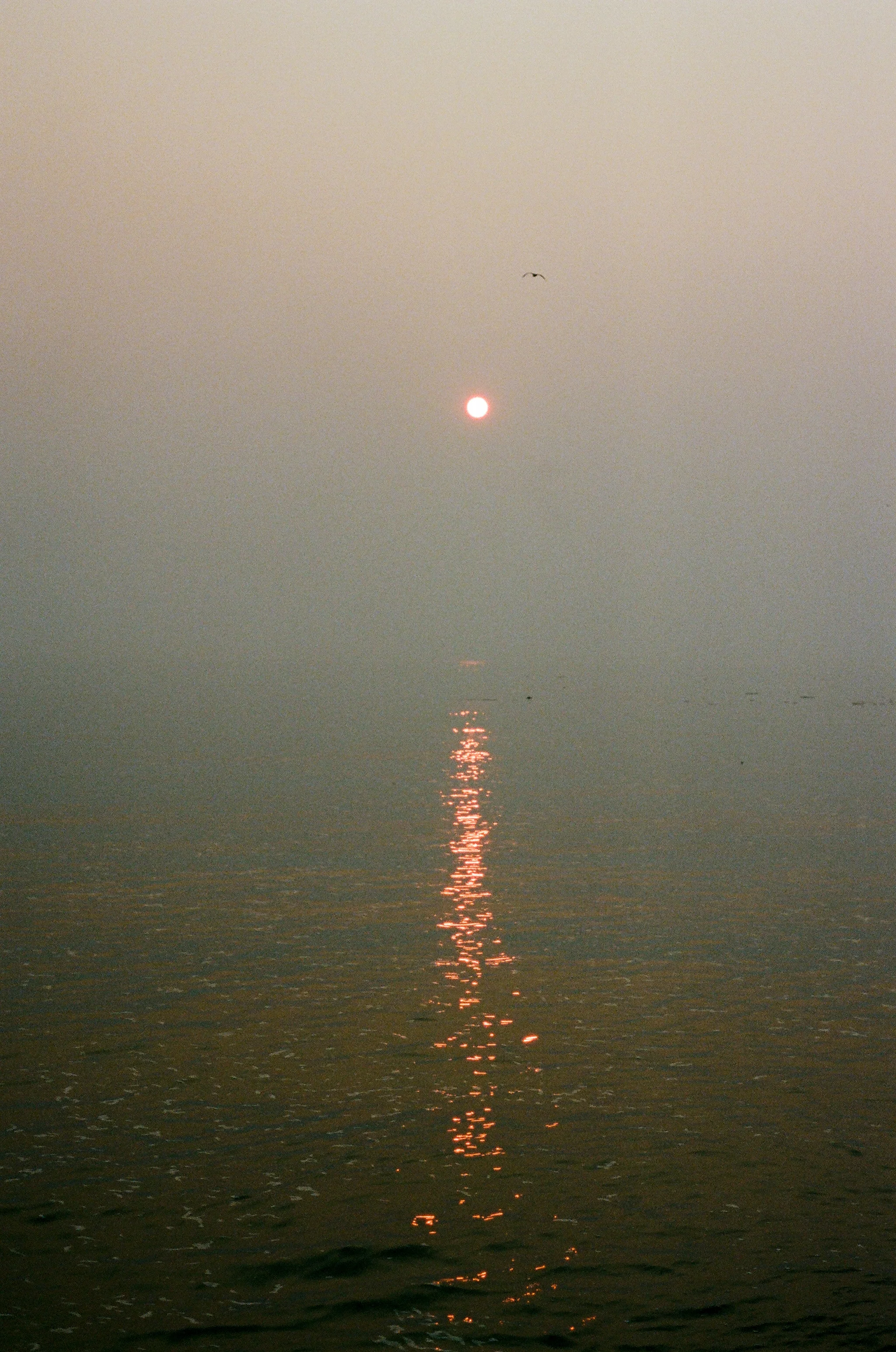 55200032-16.jpg