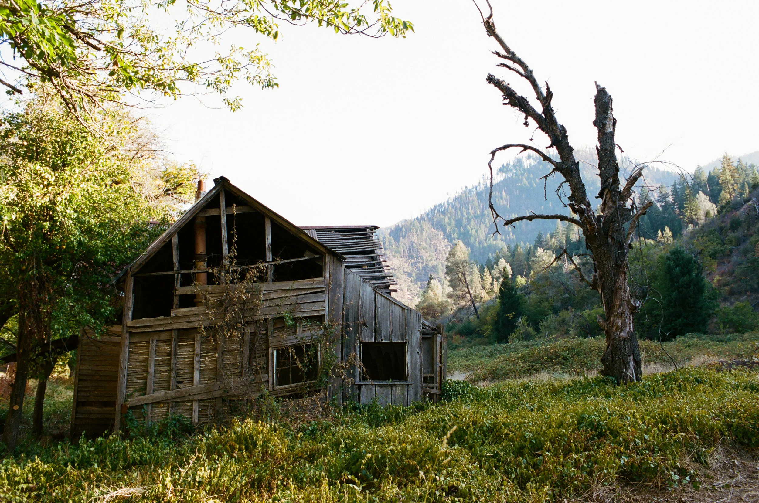 Helena Ghost Town 2.jpg