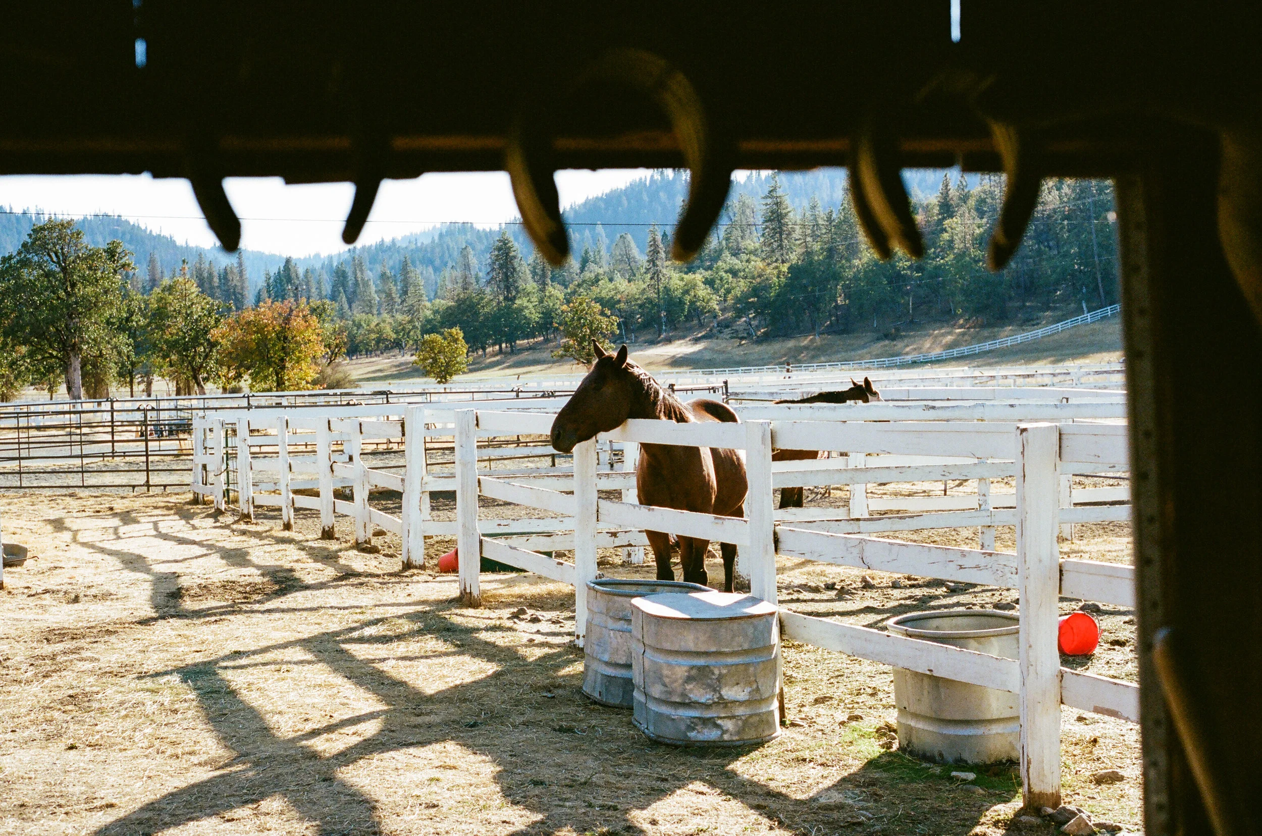 Horse Ranch 2.jpg