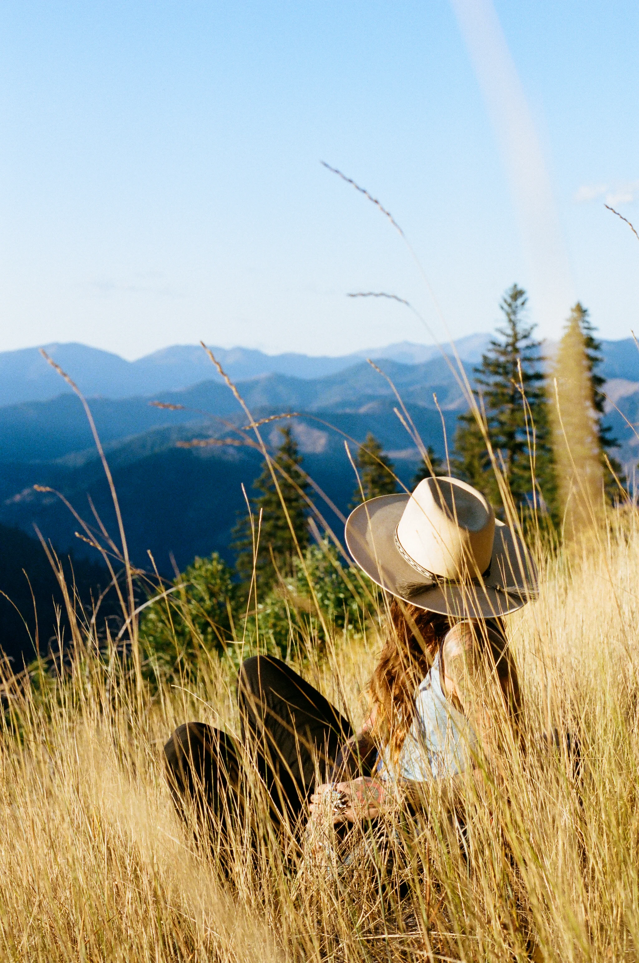Hyampom mountain views 1.jpg