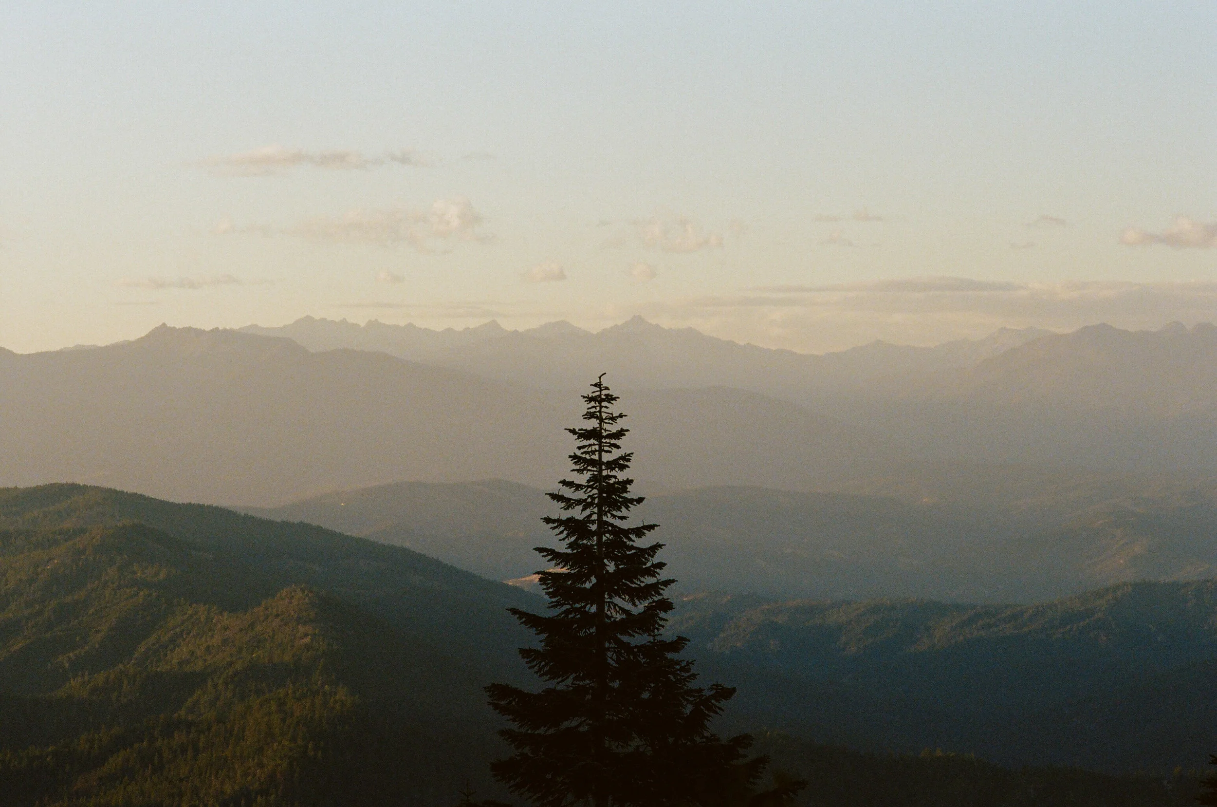 Jefferson Snow Basin 1.jpg