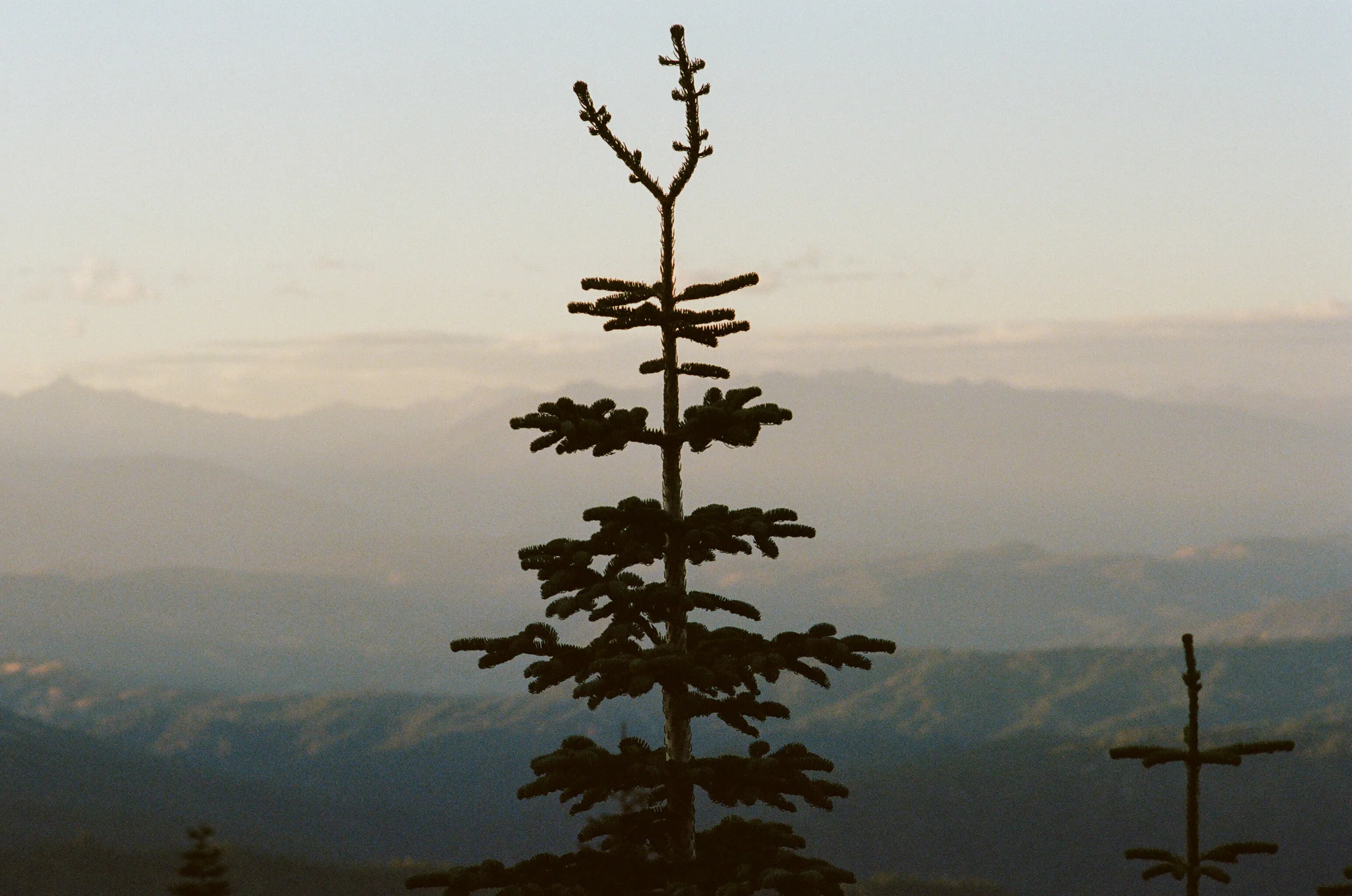 Jefferson Snow Basin 2.jpg
