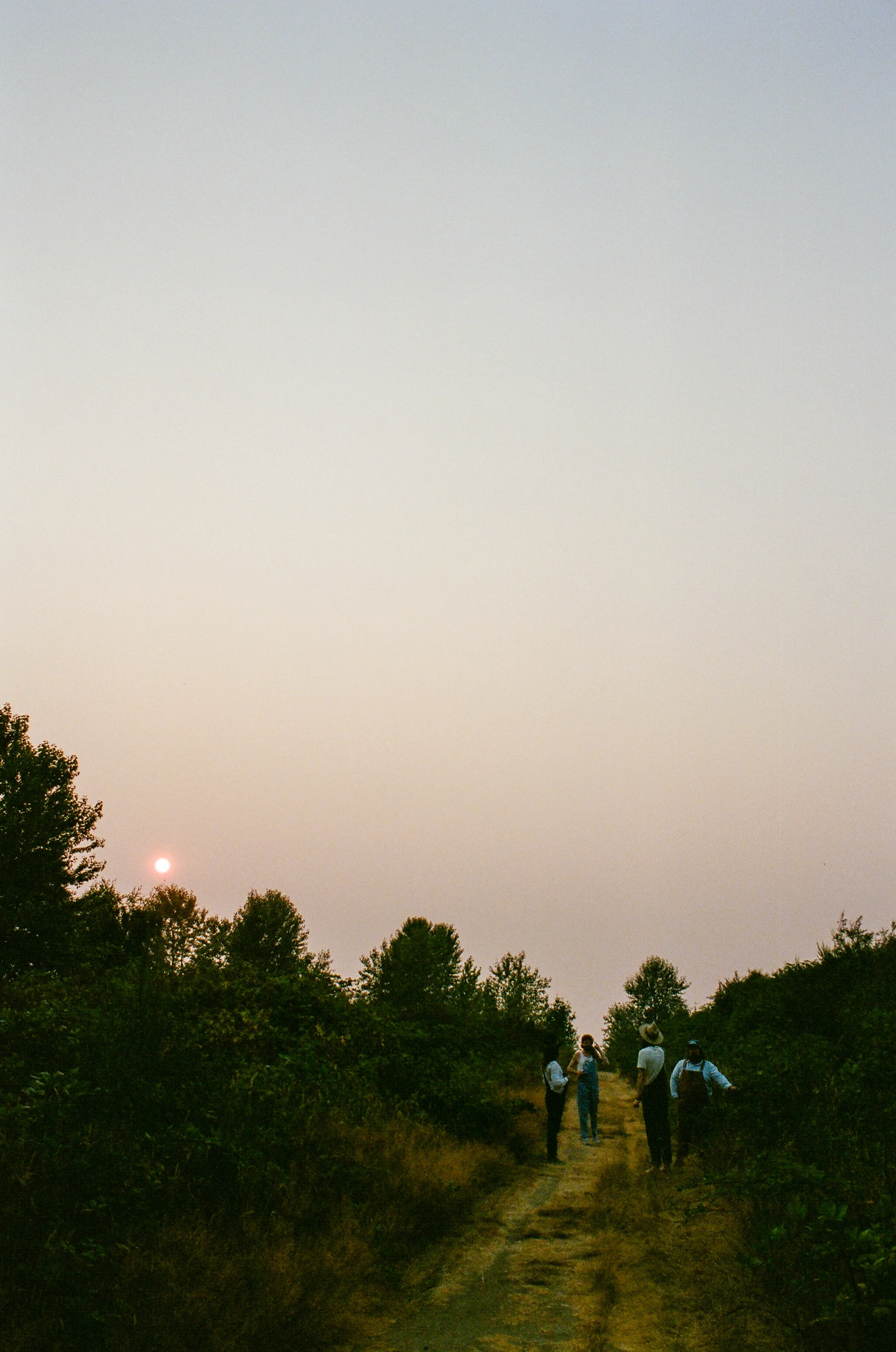 55170001-1.jpg