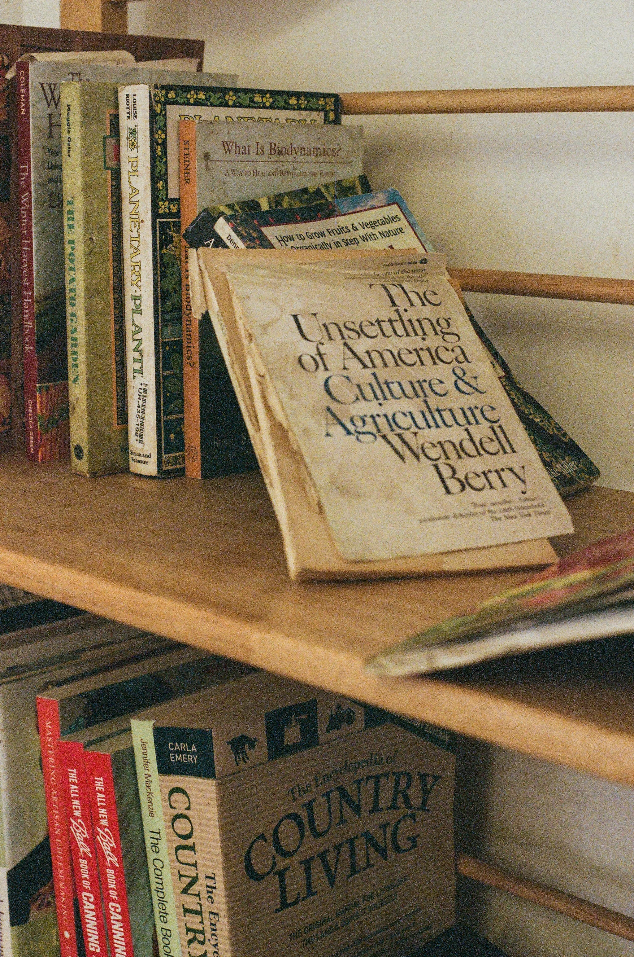 91950022-21.jpg