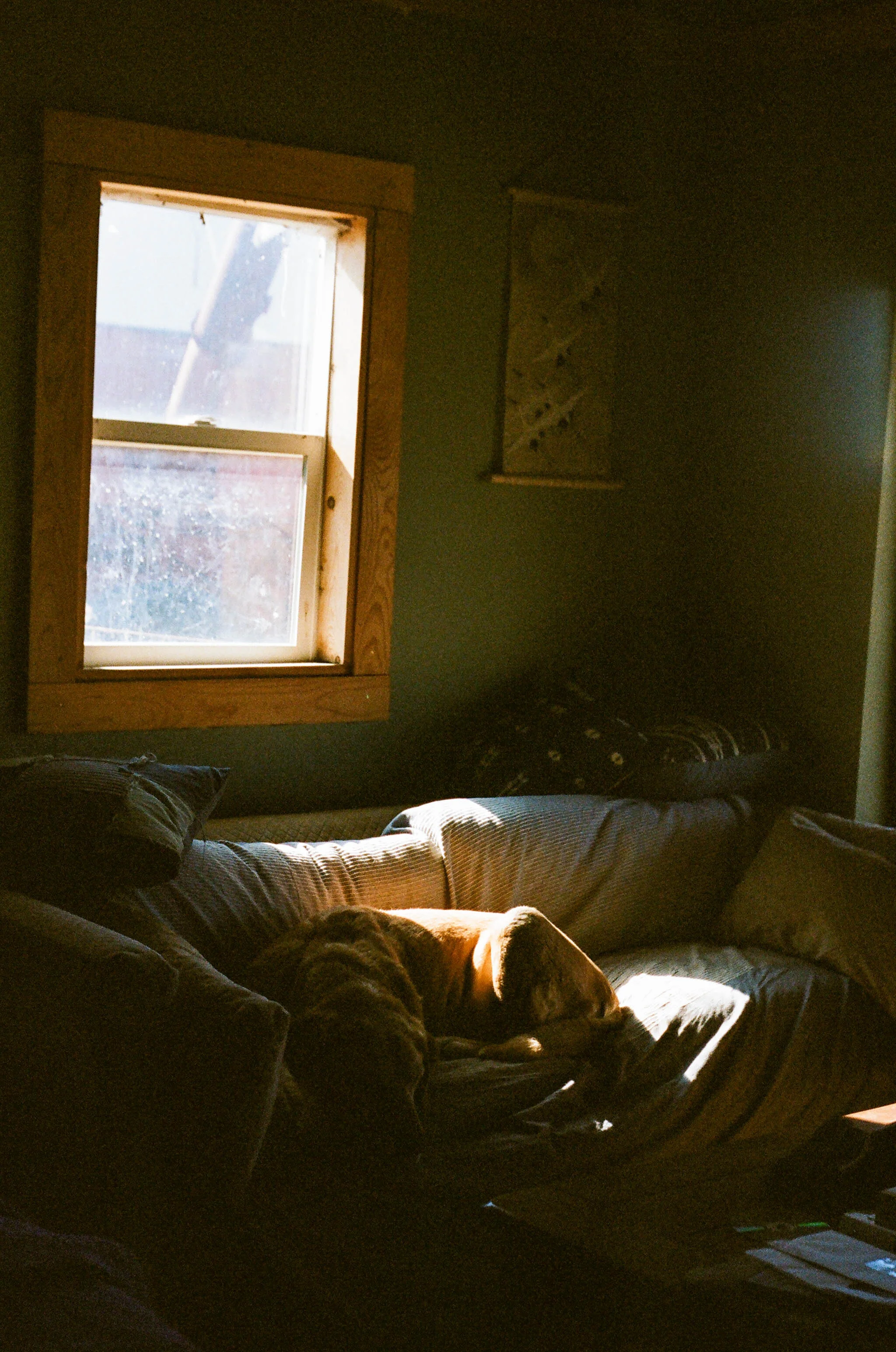 17310013-9.jpg