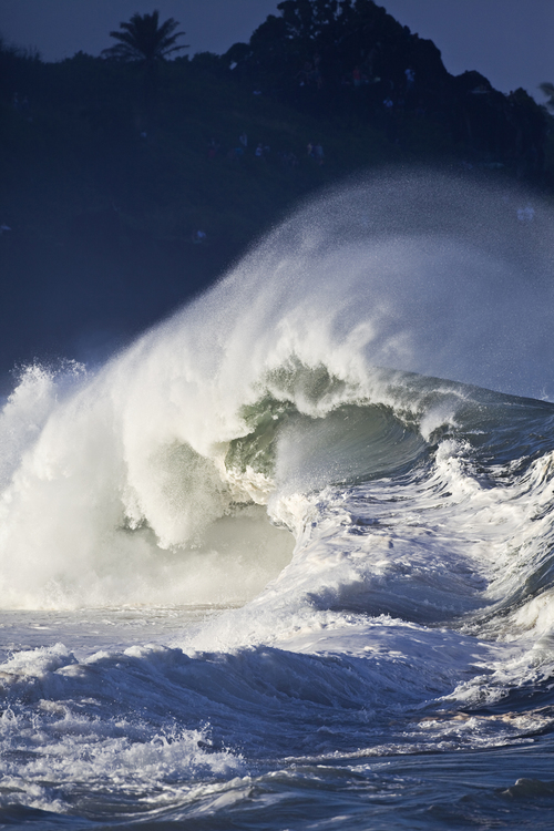 Waimea_Shorebreak_8001.jpg