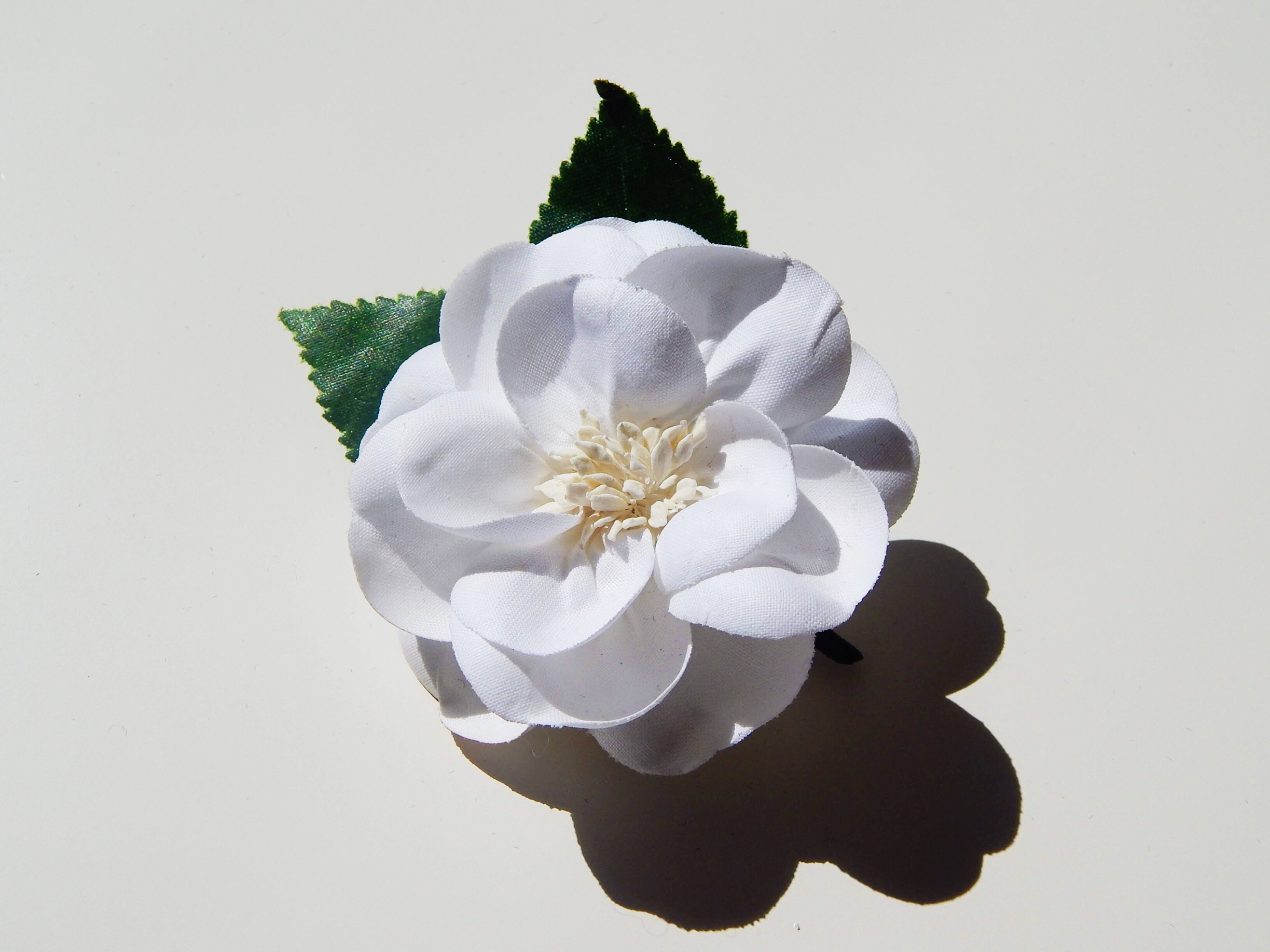 File Jan 22, 5 36 24 PM.jpeg