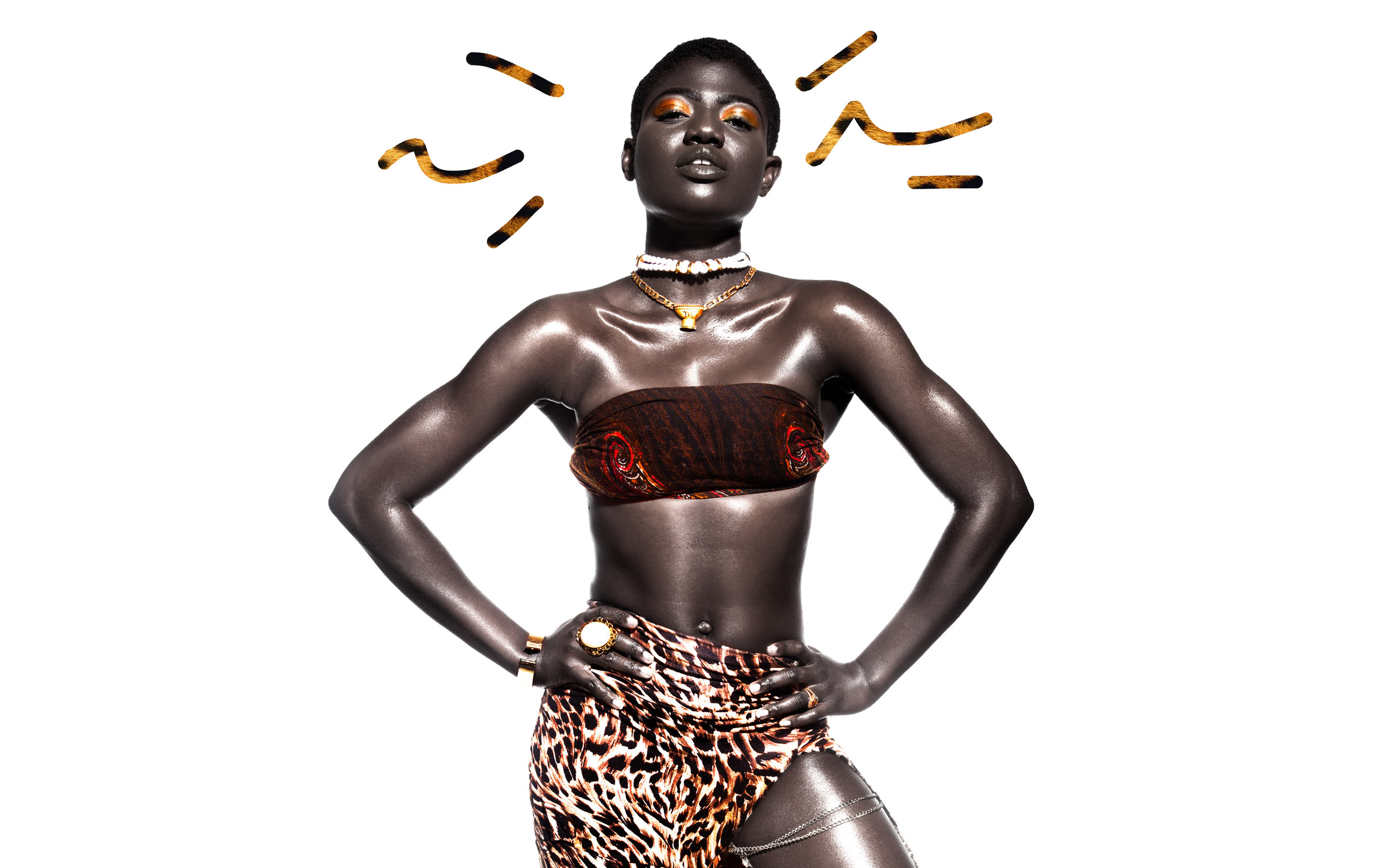 melanin web.jpg
