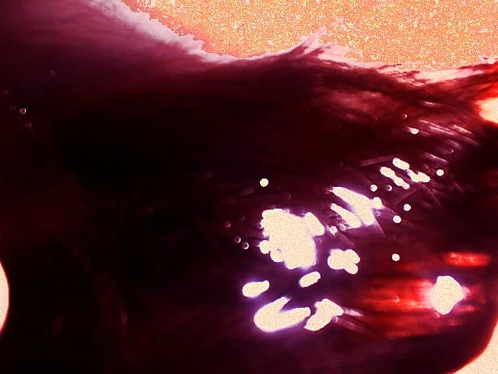 enigma-117.jpg