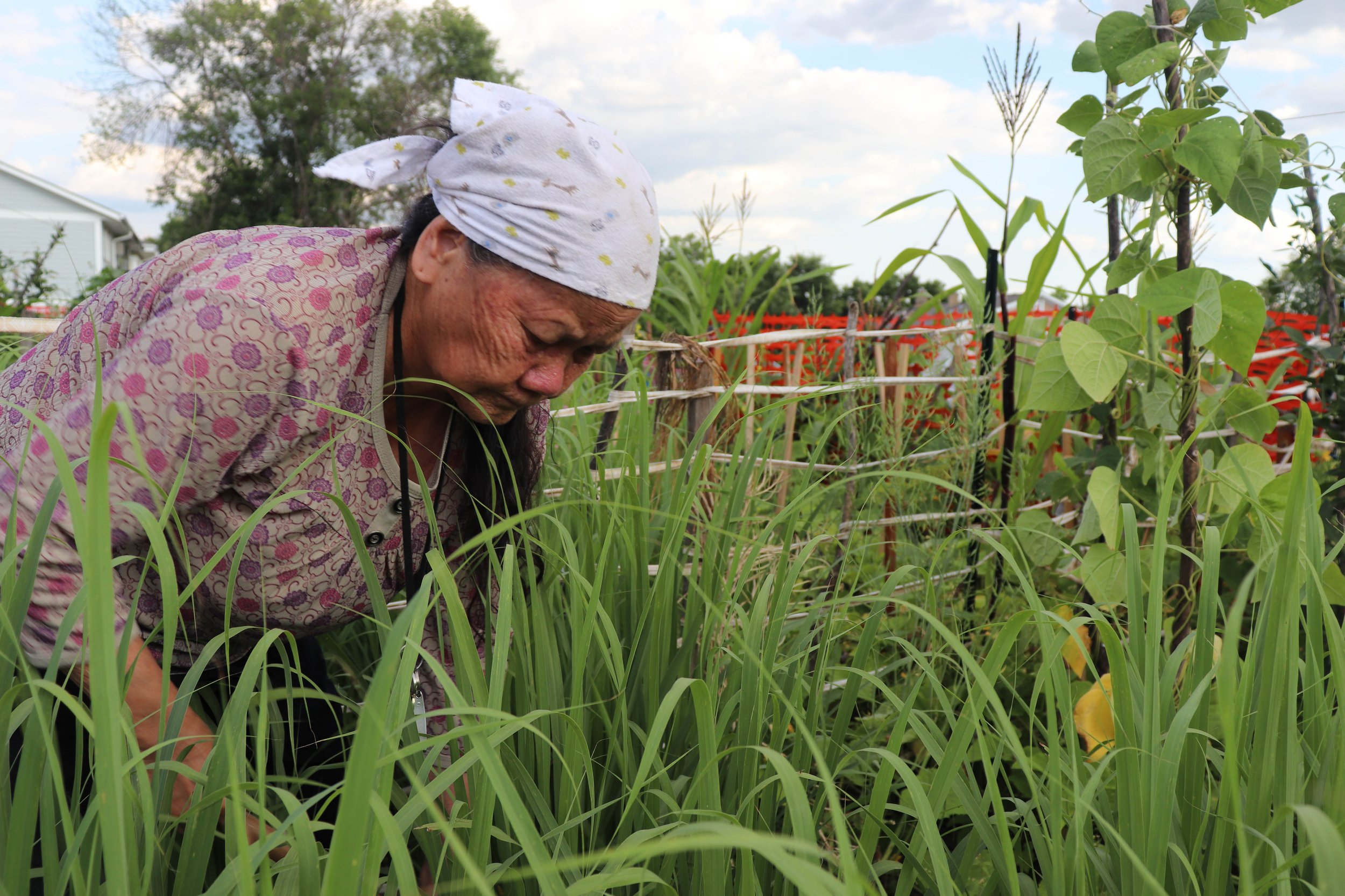 gardening with grandma-12.jpg