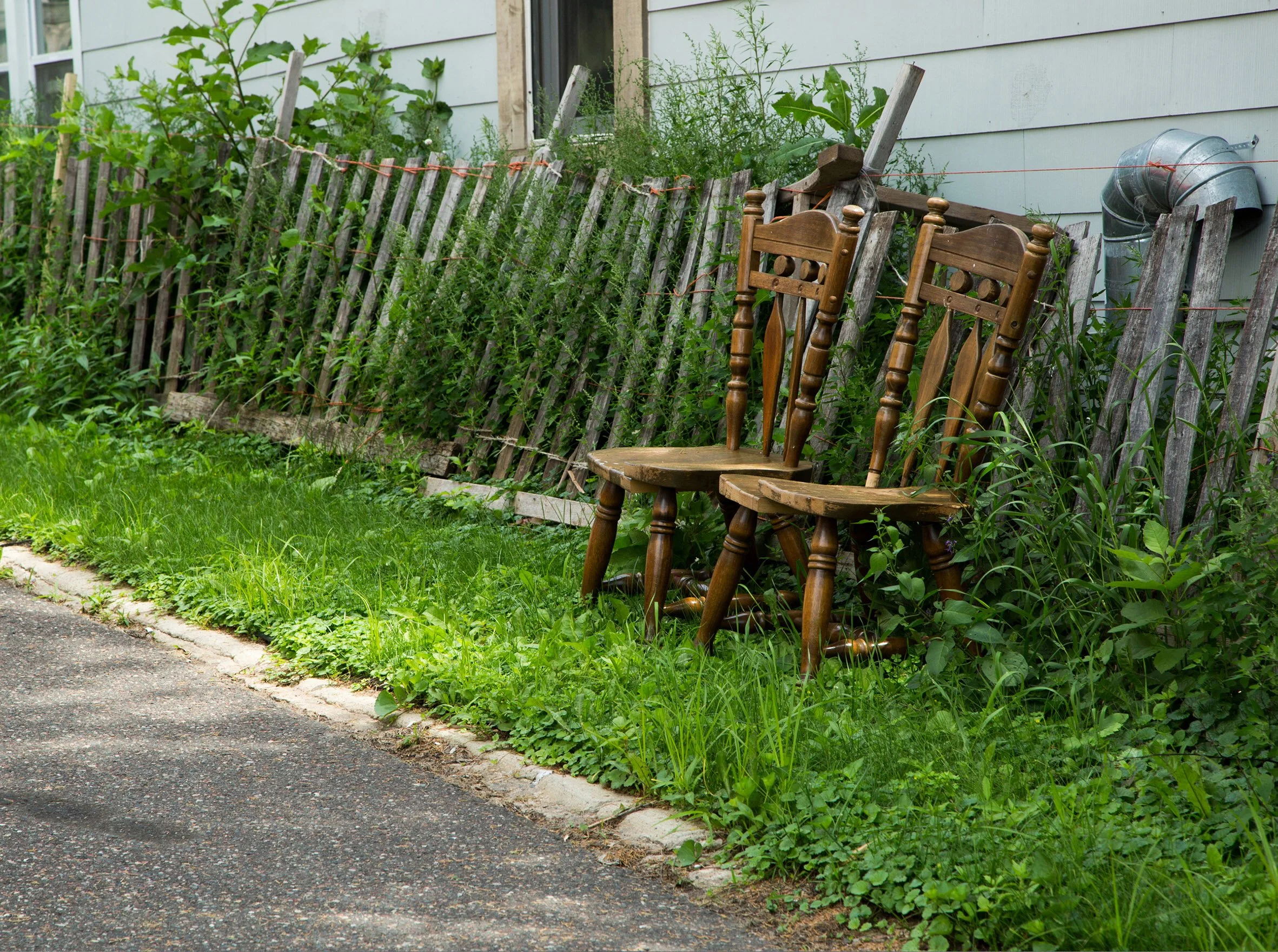 a walk through the neighborhood-3.jpg
