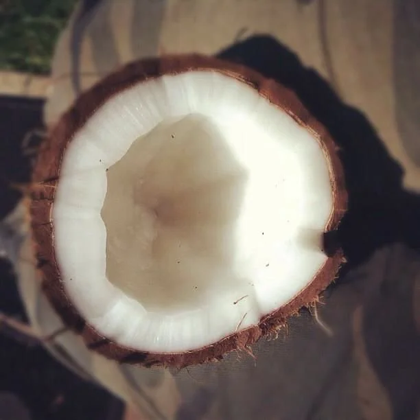 insta-486.jpg