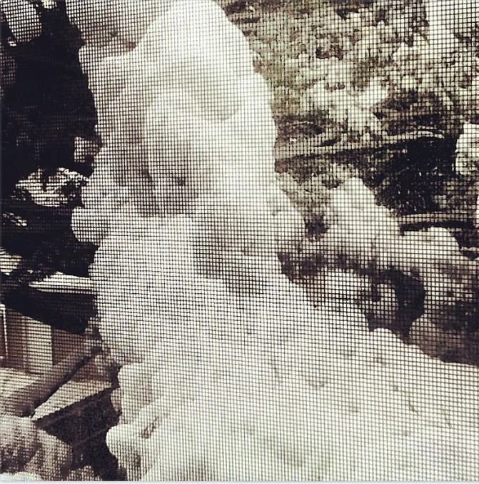 insta-704.jpg