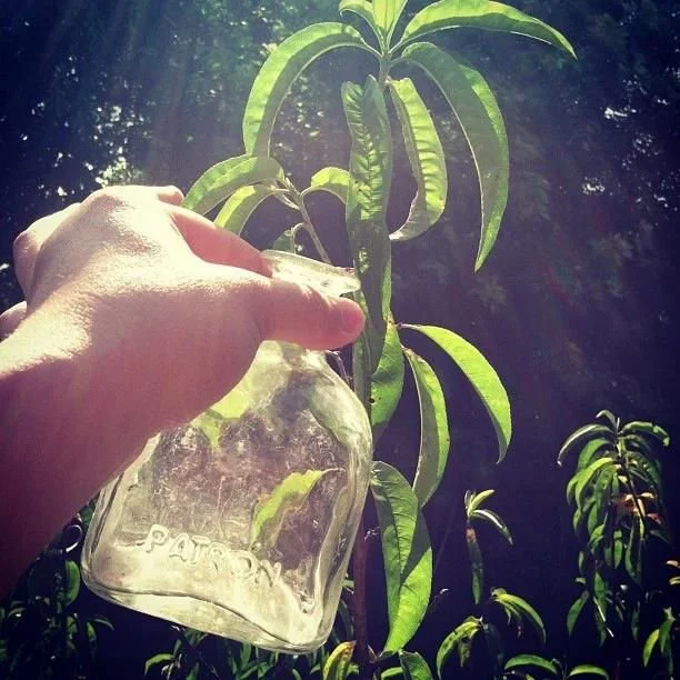 insta-865.jpg