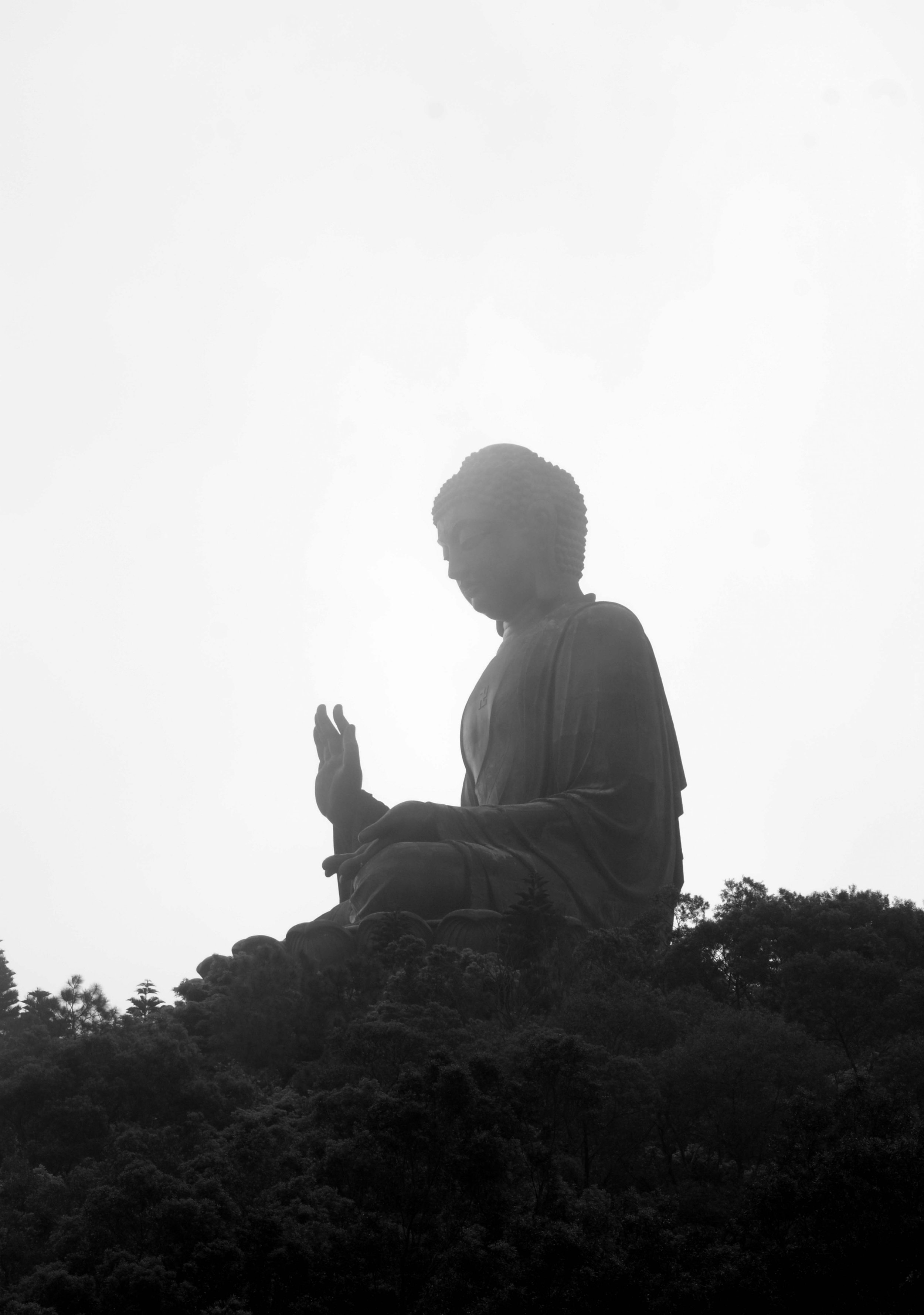 through the scope-16.jpg