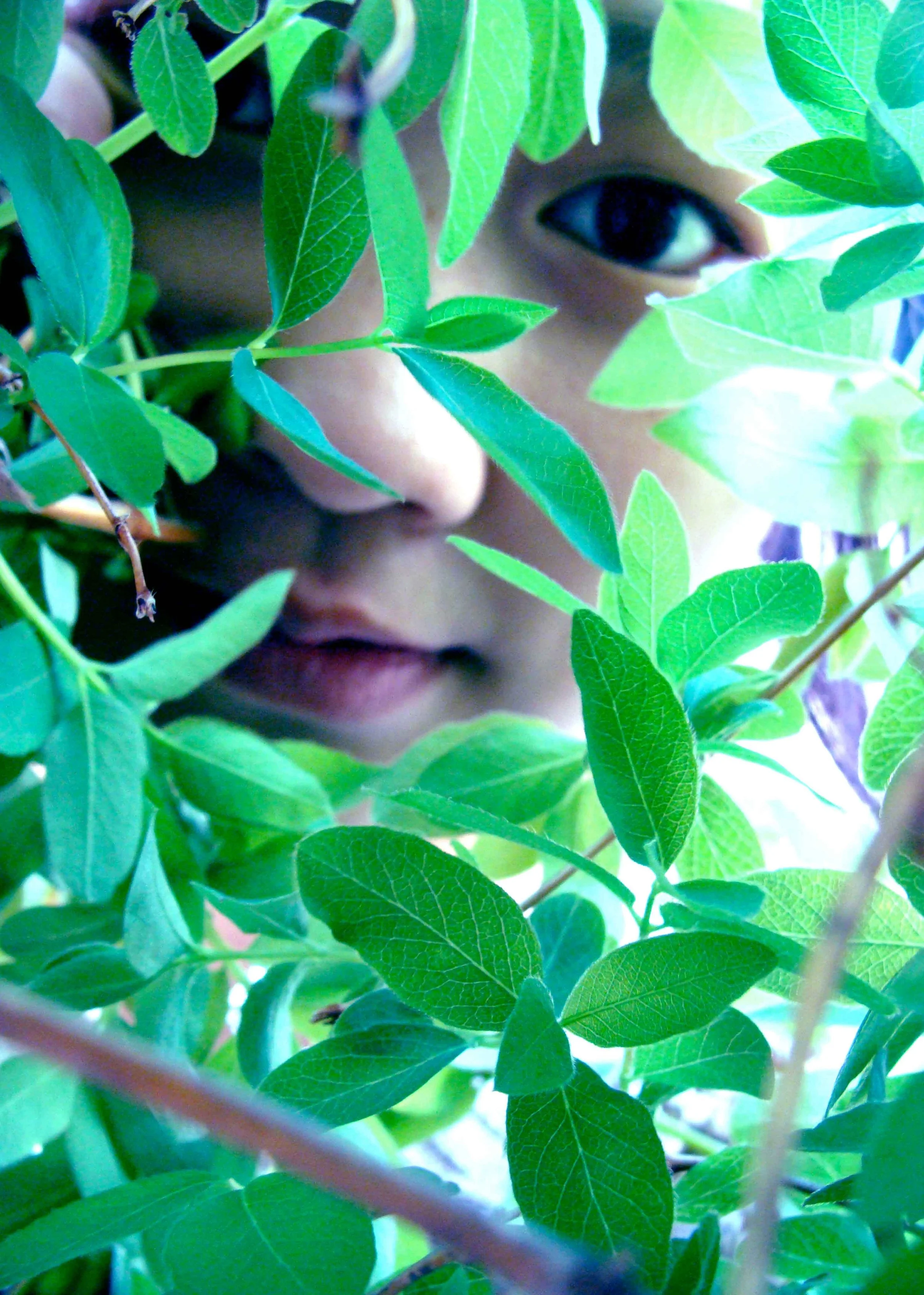 through the scope-7.jpg