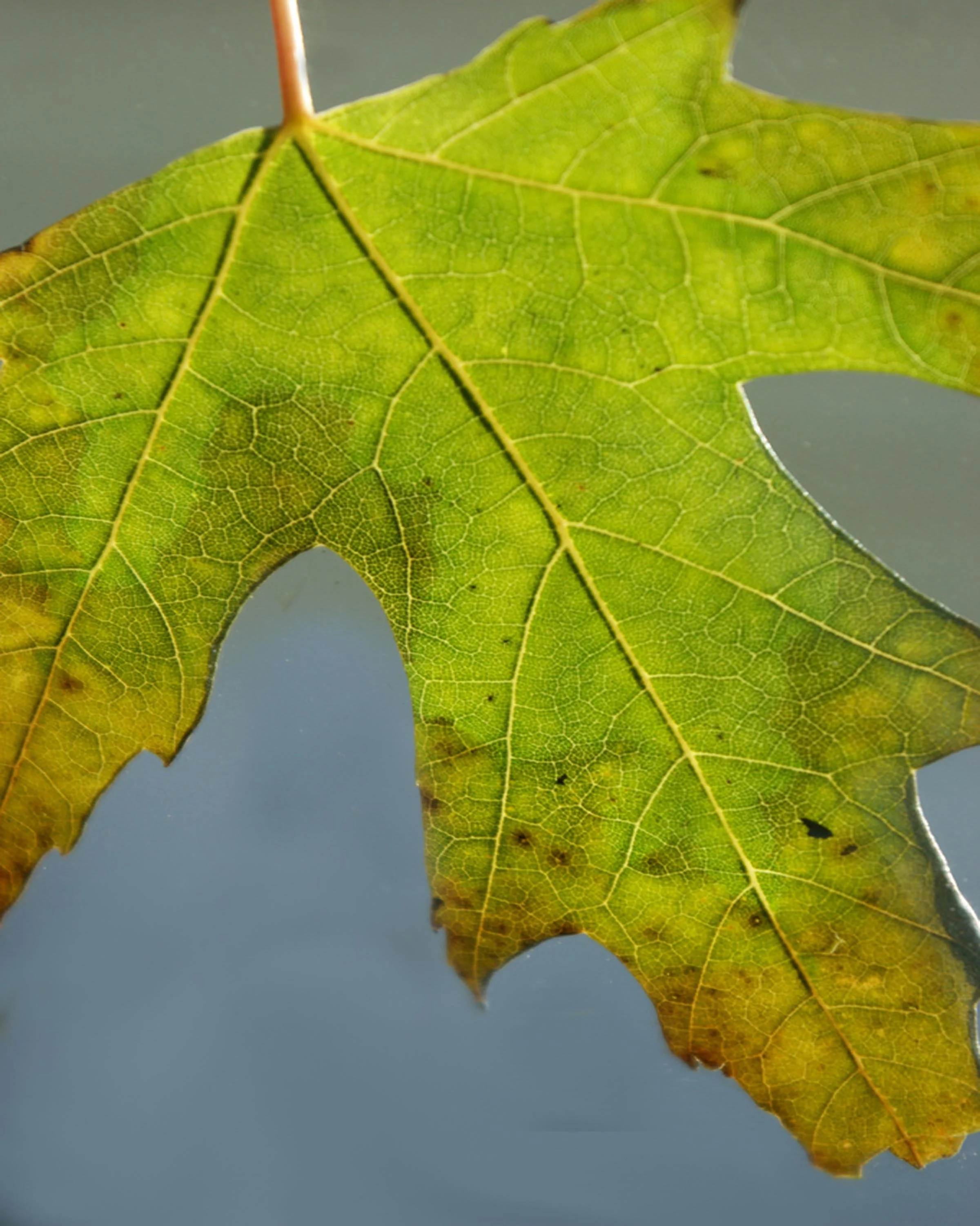 time passing-108.jpg