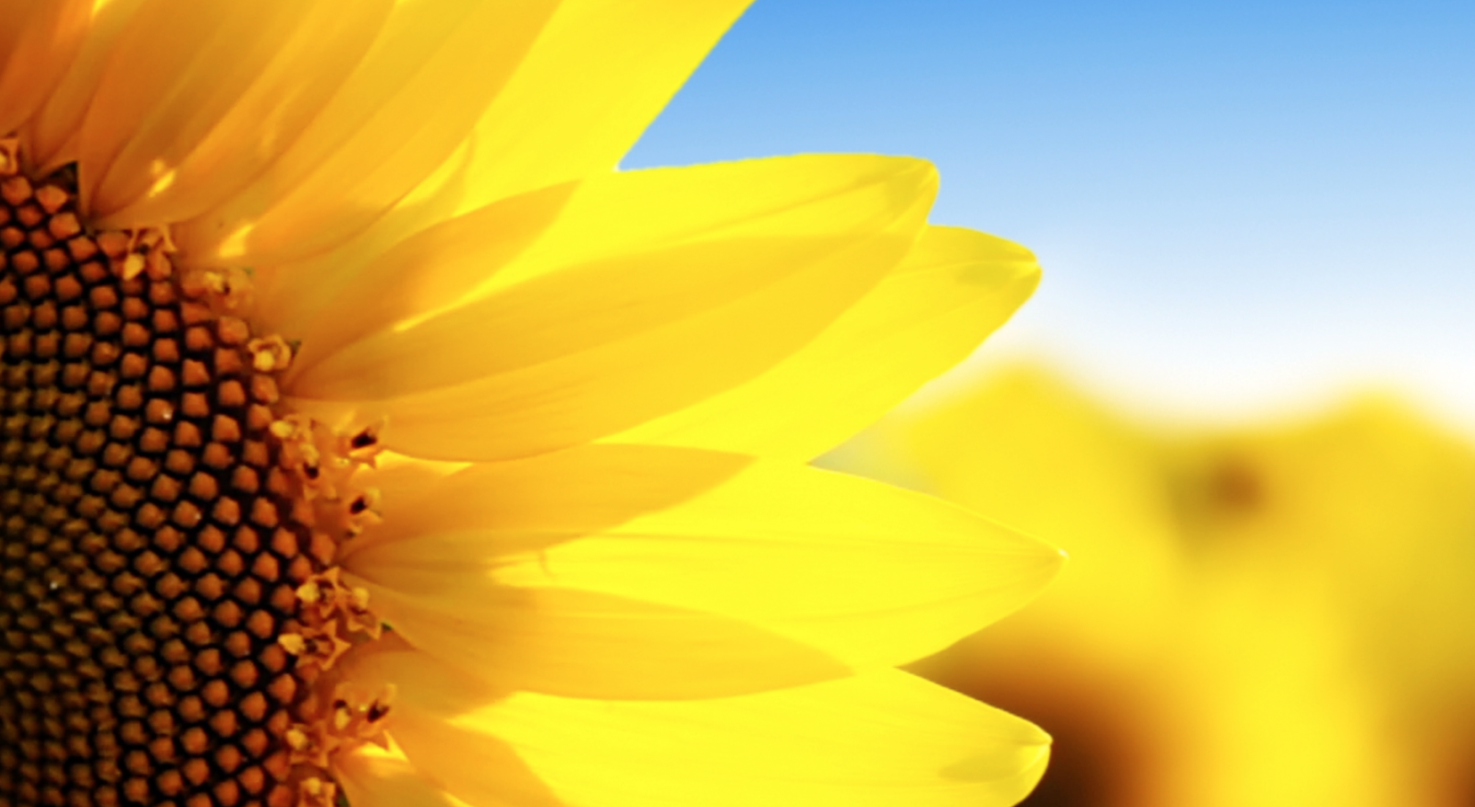 Screenshot+2026-06-24+at+6.26.10%E2%80%AFPM.png