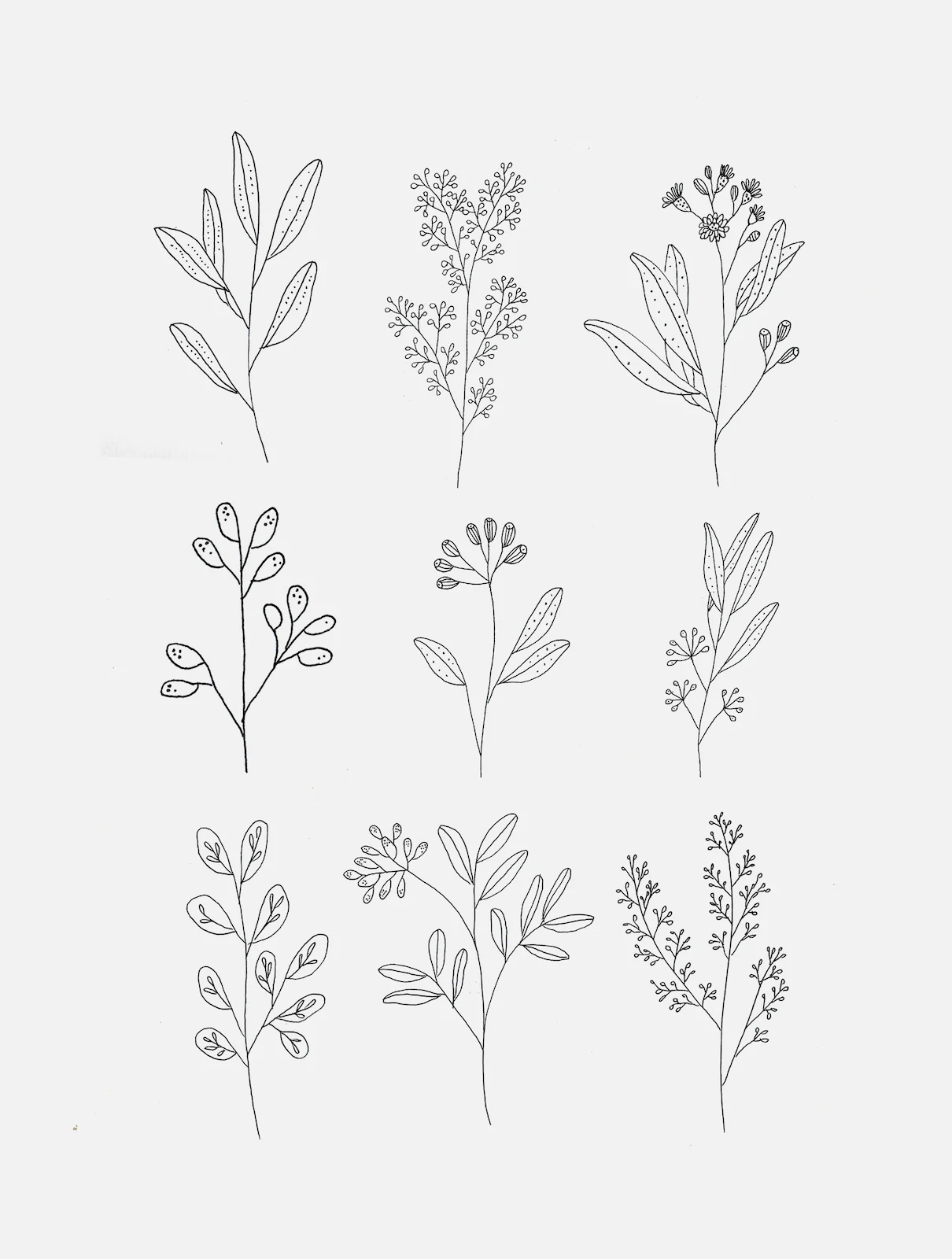 botanics.jpg