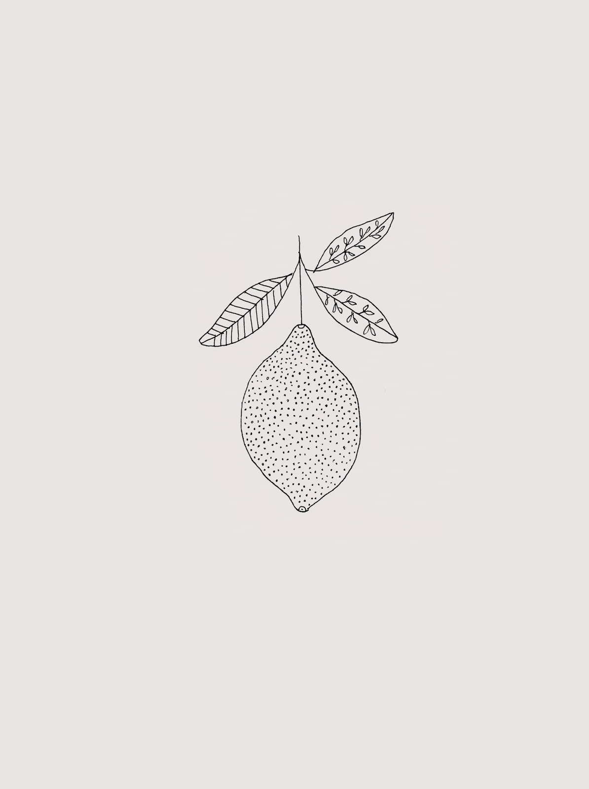 lemon2.jpg