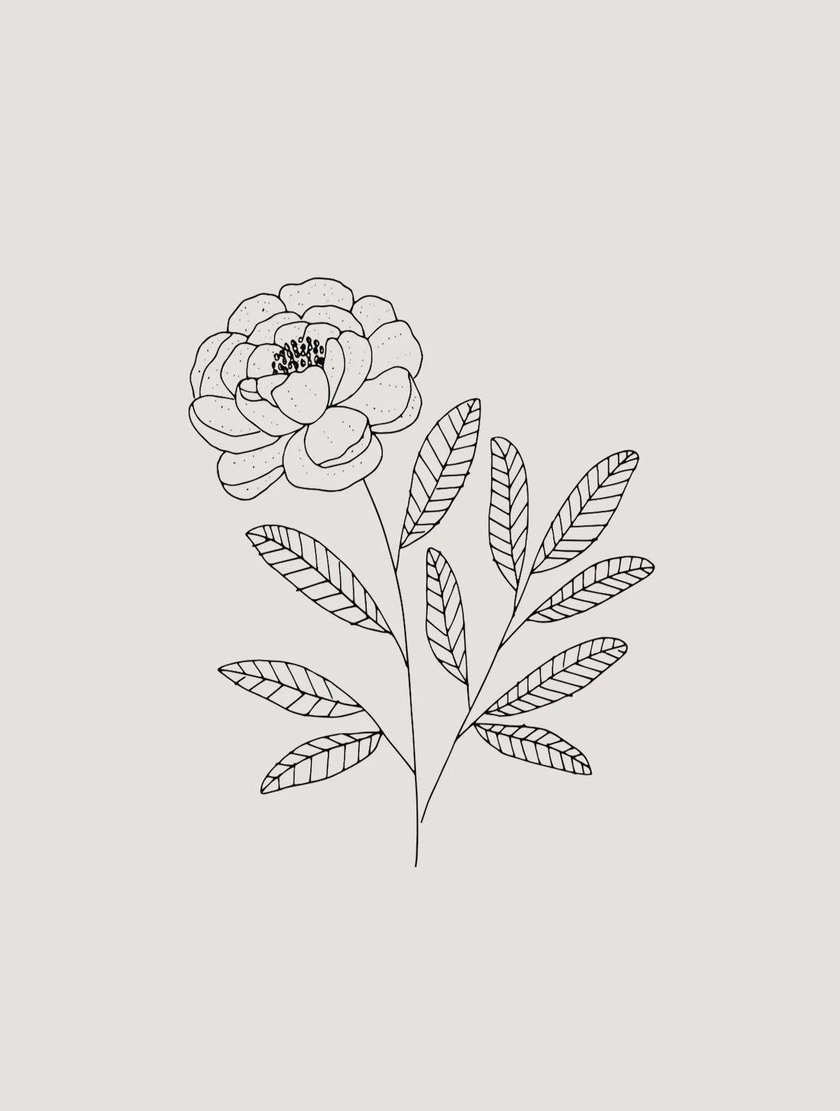 peony.jpg