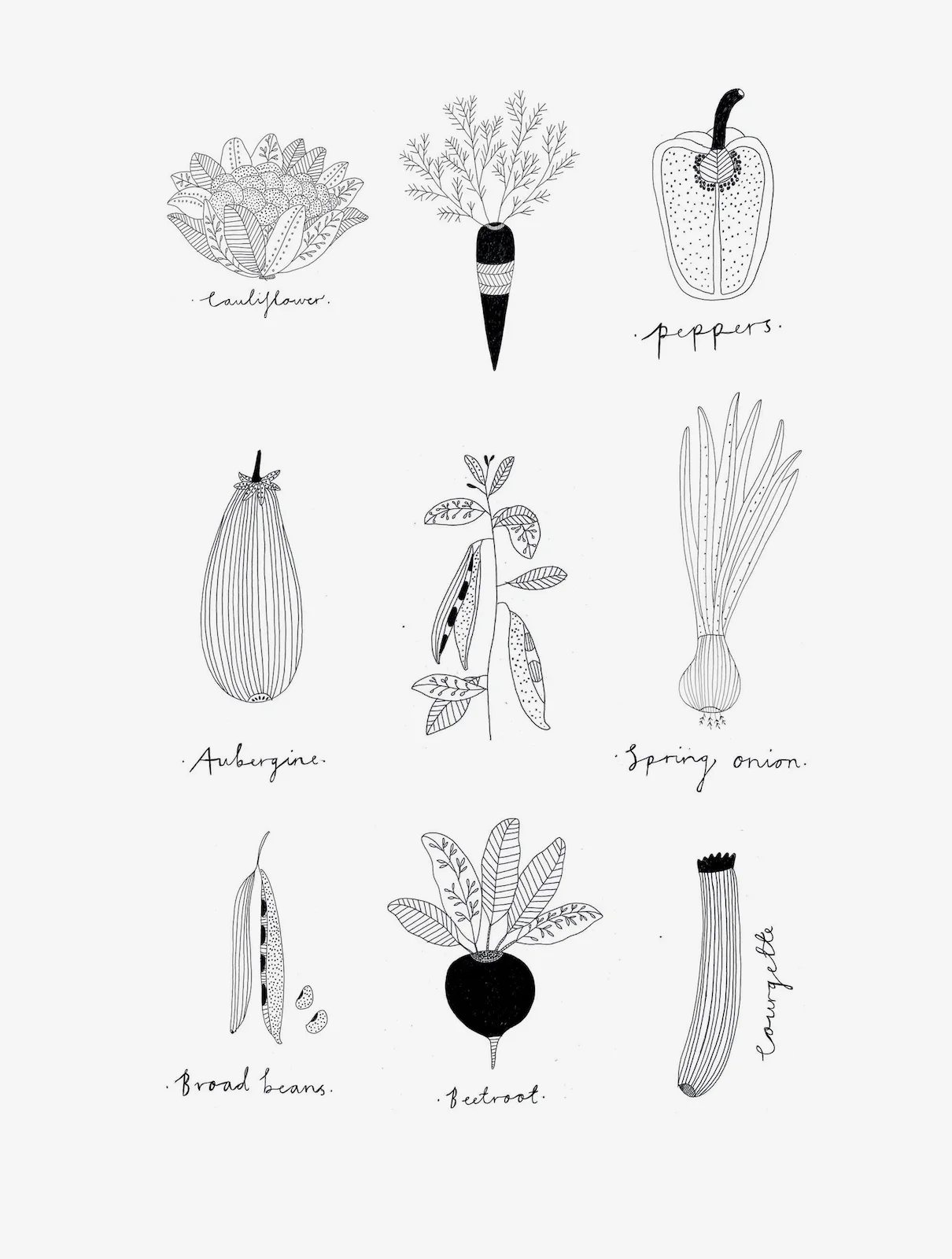 veg1.jpg