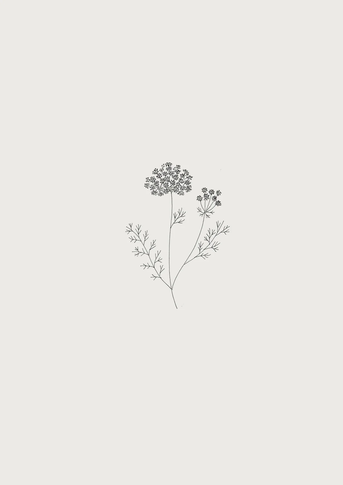 botanic.jpg