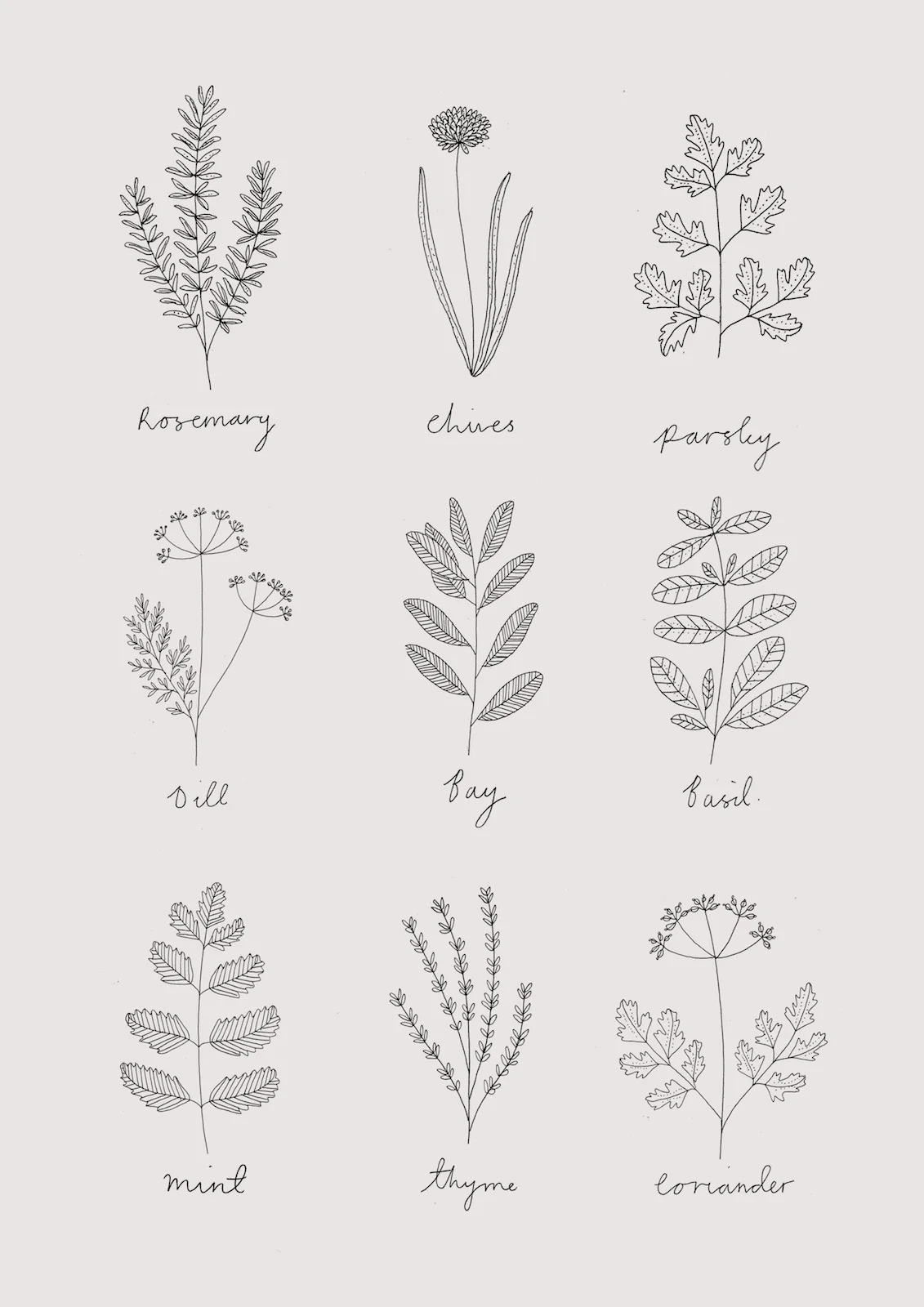 herb print.jpg